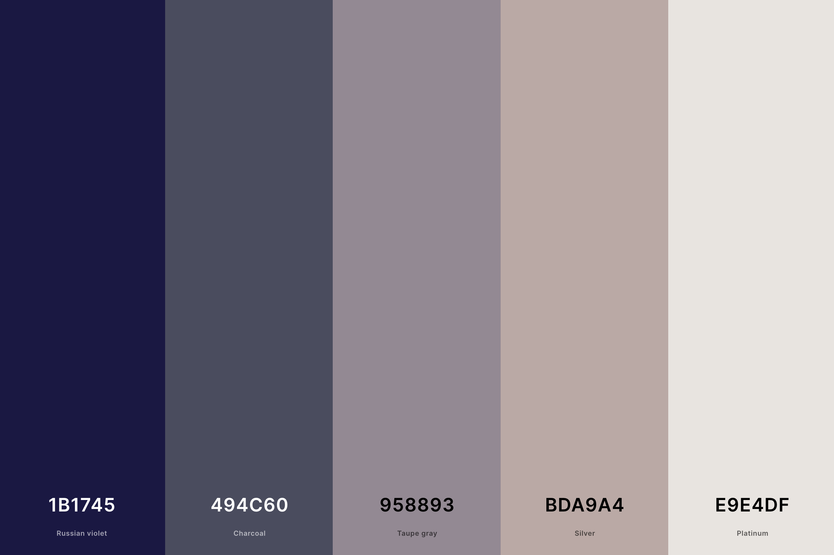 8. Neutral Winter Color Palette Color Palette with Russian Violet (Hex #1B1745) + Charcoal (Hex #494C60) + Taupe Gray (Hex #958893) + Silver (Hex #BDA9A4) + Platinum (Hex #E9E4DF) Color Palette with Hex Codes
