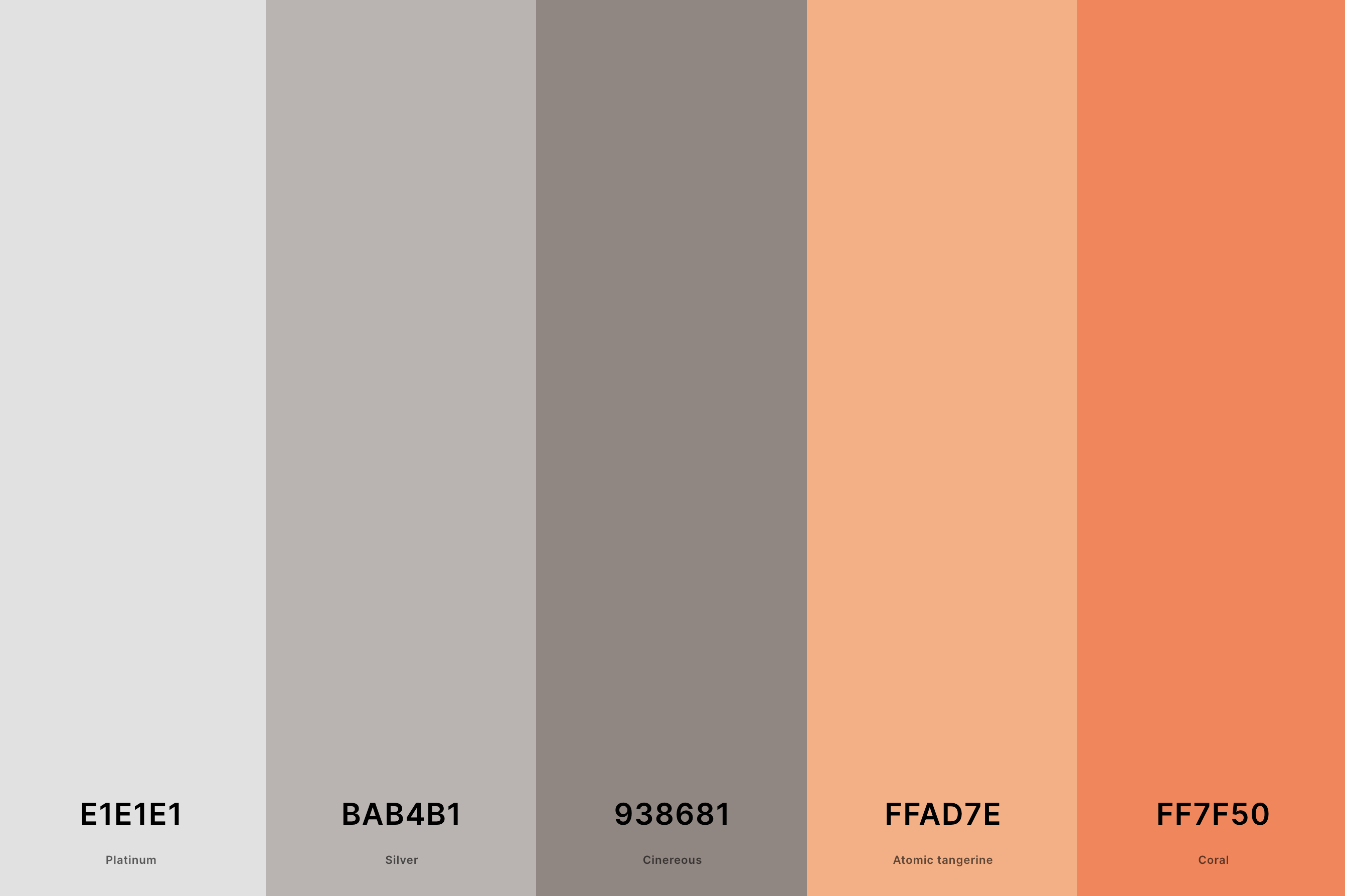 9. Coral And Grey Color Palette Color Palette with Platinum (Hex #E1E1E1) + Silver (Hex #BAB4B1) + Cinereous (Hex #938681) + Atomic Tangerine (Hex #FFAD7E) + Coral (Hex #FF7F50) Color Palette with Hex Codes