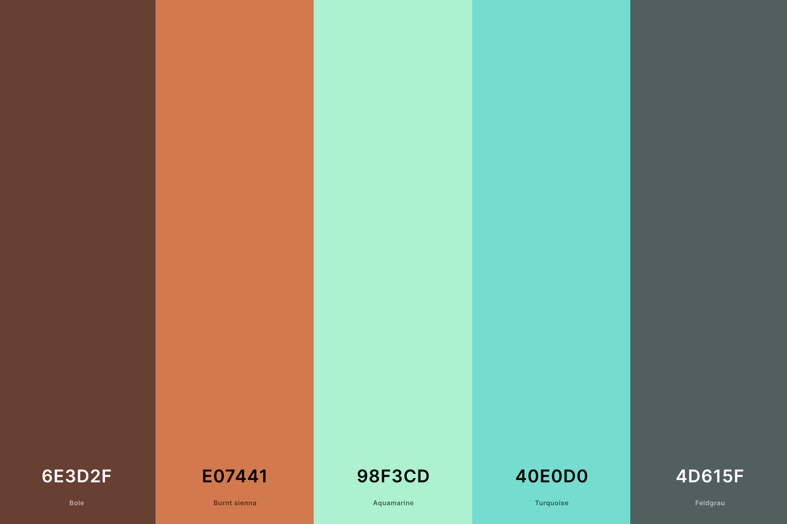 9. Terracotta And Turquoise Color Palette Color Palette with Bole (Hex #6E3D2F) + Burnt Sienna (Hex #E07441) + Aquamarine (Hex #98F3CD) + Turquoise (Hex #40E0D0) + Feldgrau (Hex #4D615F) Color Palette with Hex Codes