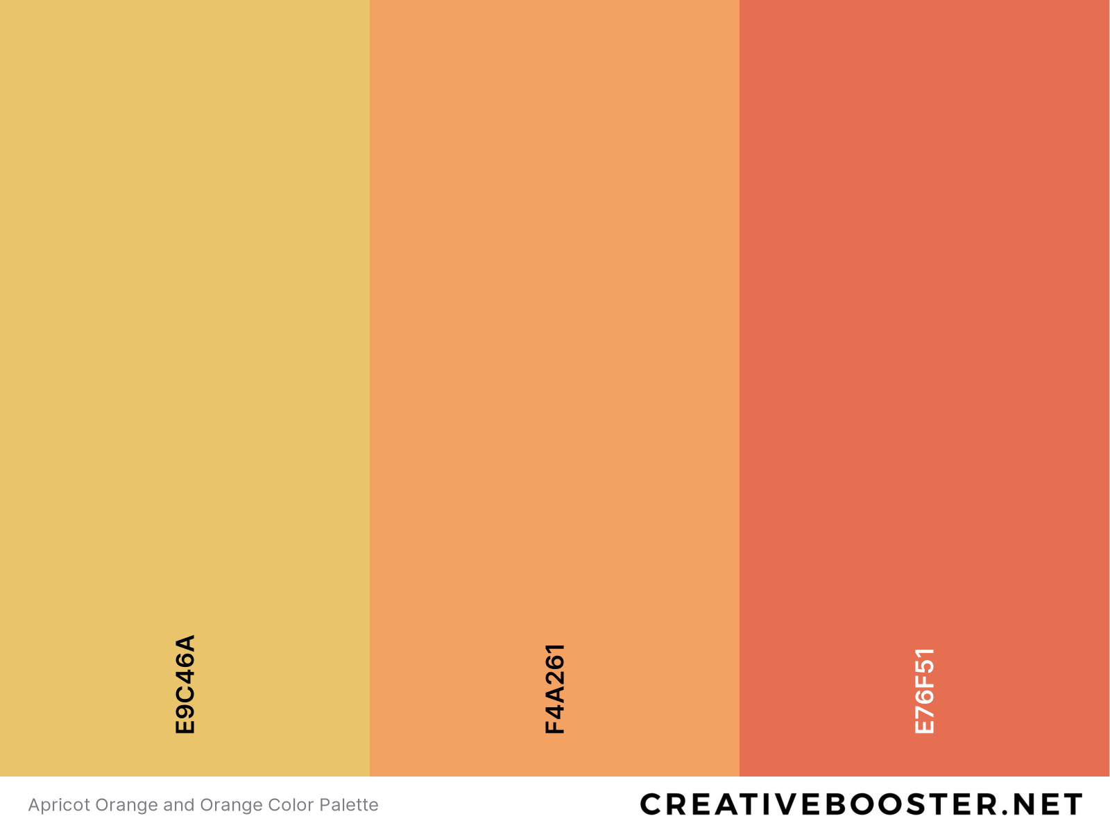 Apricot Orange and Orange Color Palette