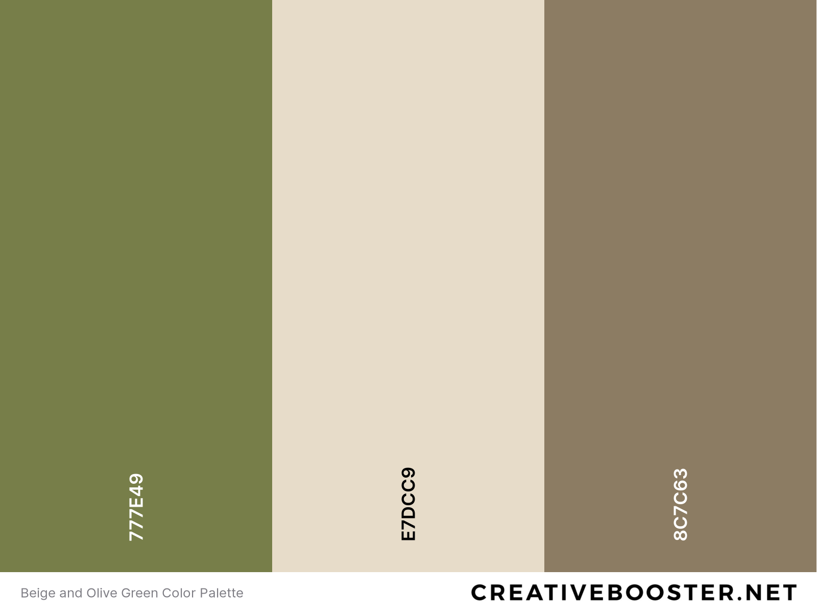 25 Best Colors That Go With Olive Green Color Palettes Creativebooster