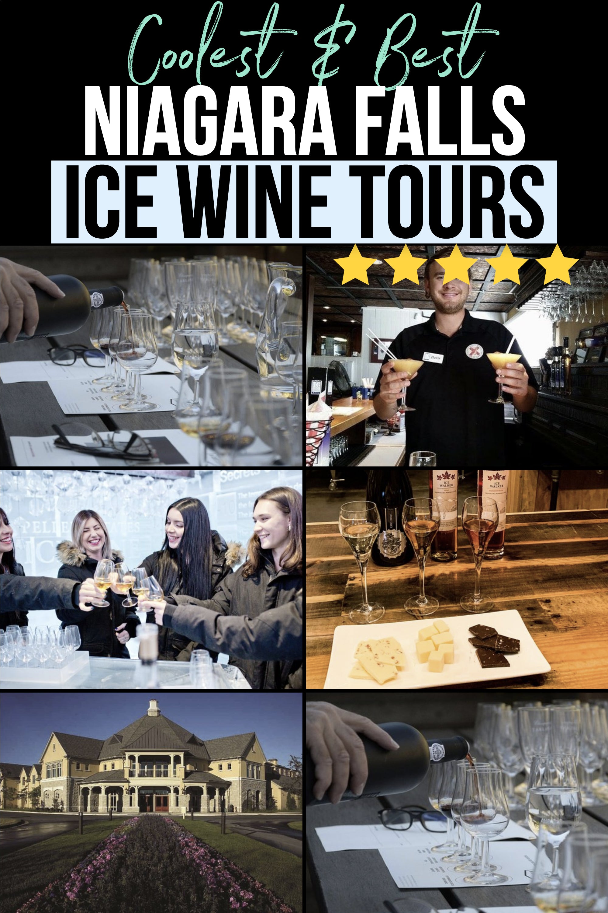 Best-Ice-Wine-Tours-in-Niagara-Falls-Pinterest-Tall