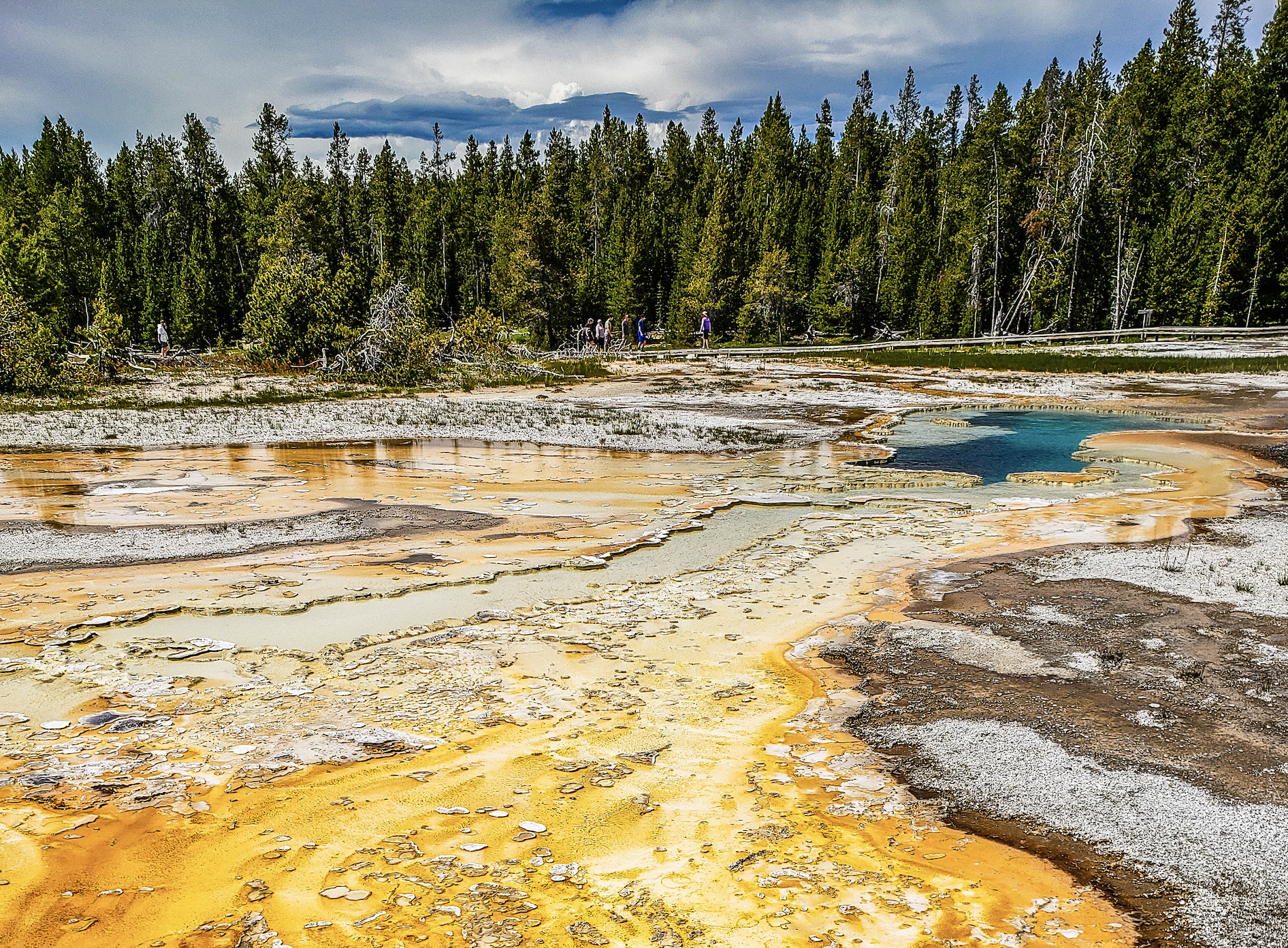 Best Tours in Yellowstone