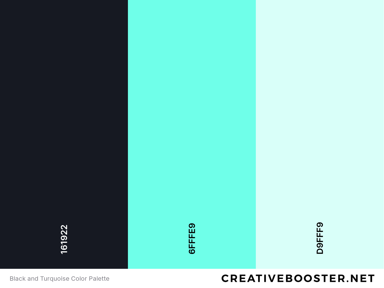 Black and Turquoise Color Palette