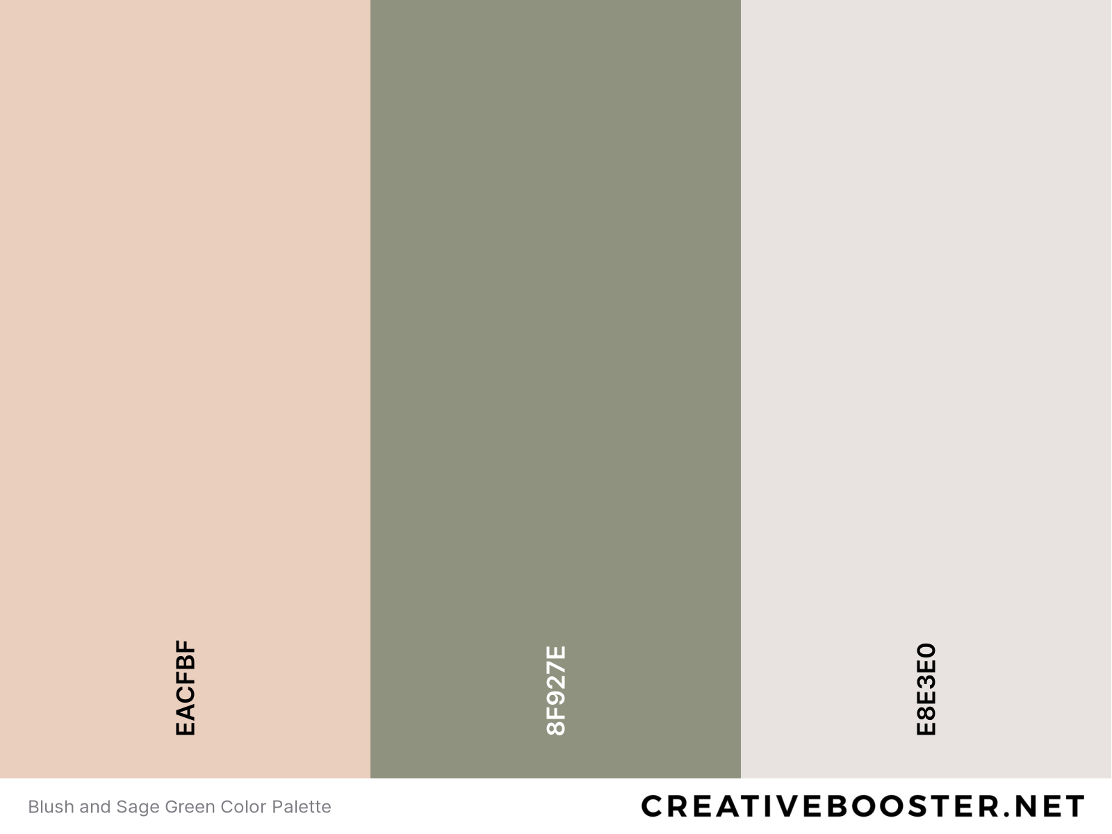 Blush and Sage Green Color Palette