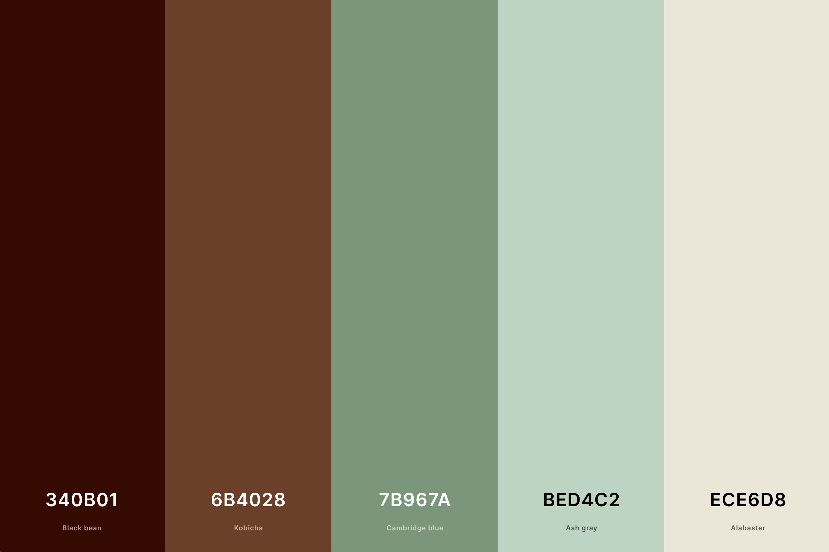 Brown & Green Color Palette Color Palette with Black Bean (Hex #340B01) + Kobicha (Hex #6B4028) + Cambridge Blue (Hex #7B967A) + Ash Gray (Hex #BED4C2) + Alabaster (Hex #ECE6D8) Color Palette with Hex Codes