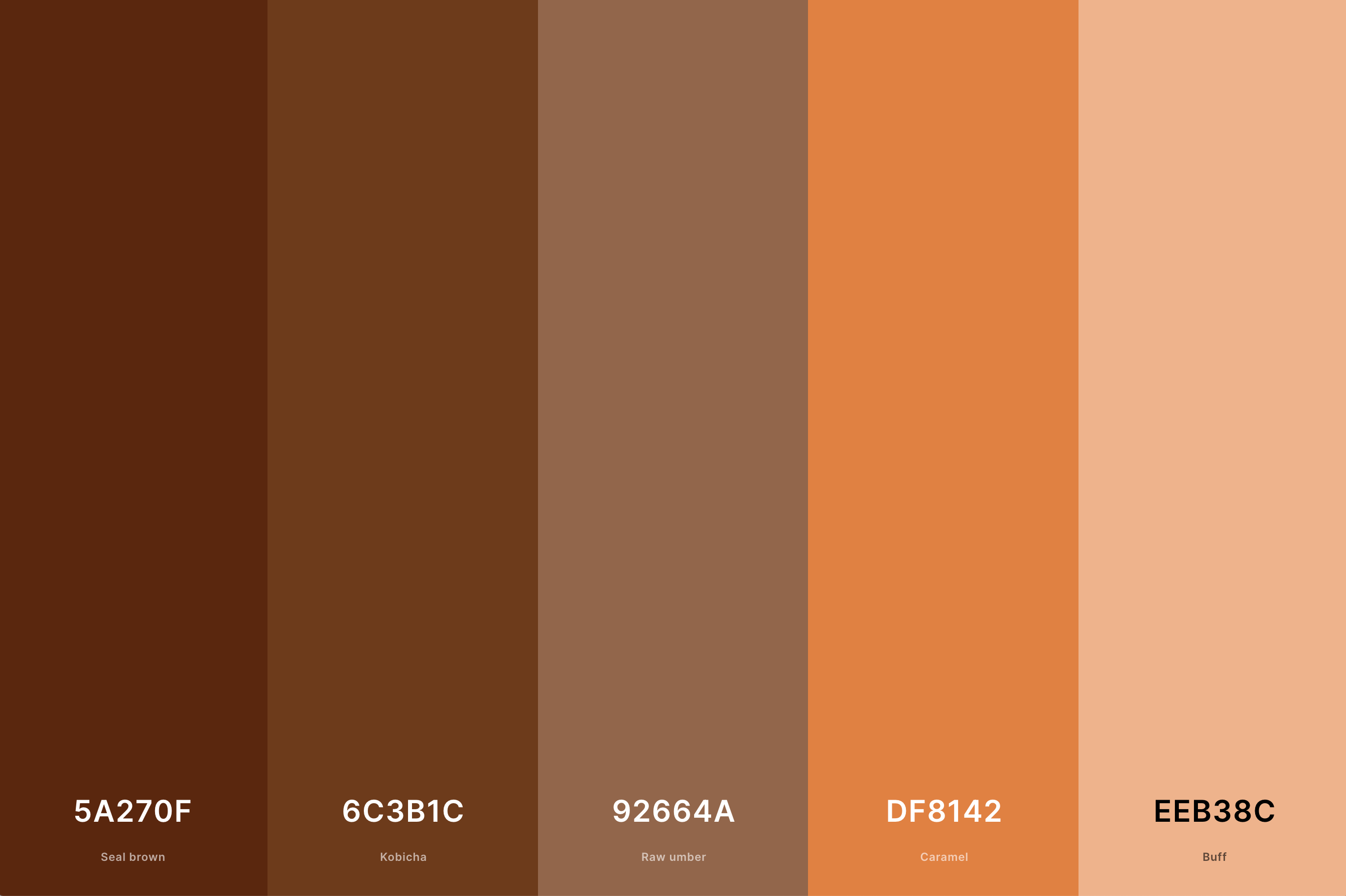 Brown & Orange Color Palette Color Palette with Seal Brown (Hex #5A270F) + Kobicha (Hex #6C3B1C) + Raw Umber (Hex #92664A) + Caramel (Hex #DF8142) + Buff (Hex #EEB38C) Color Palette with Hex Codes