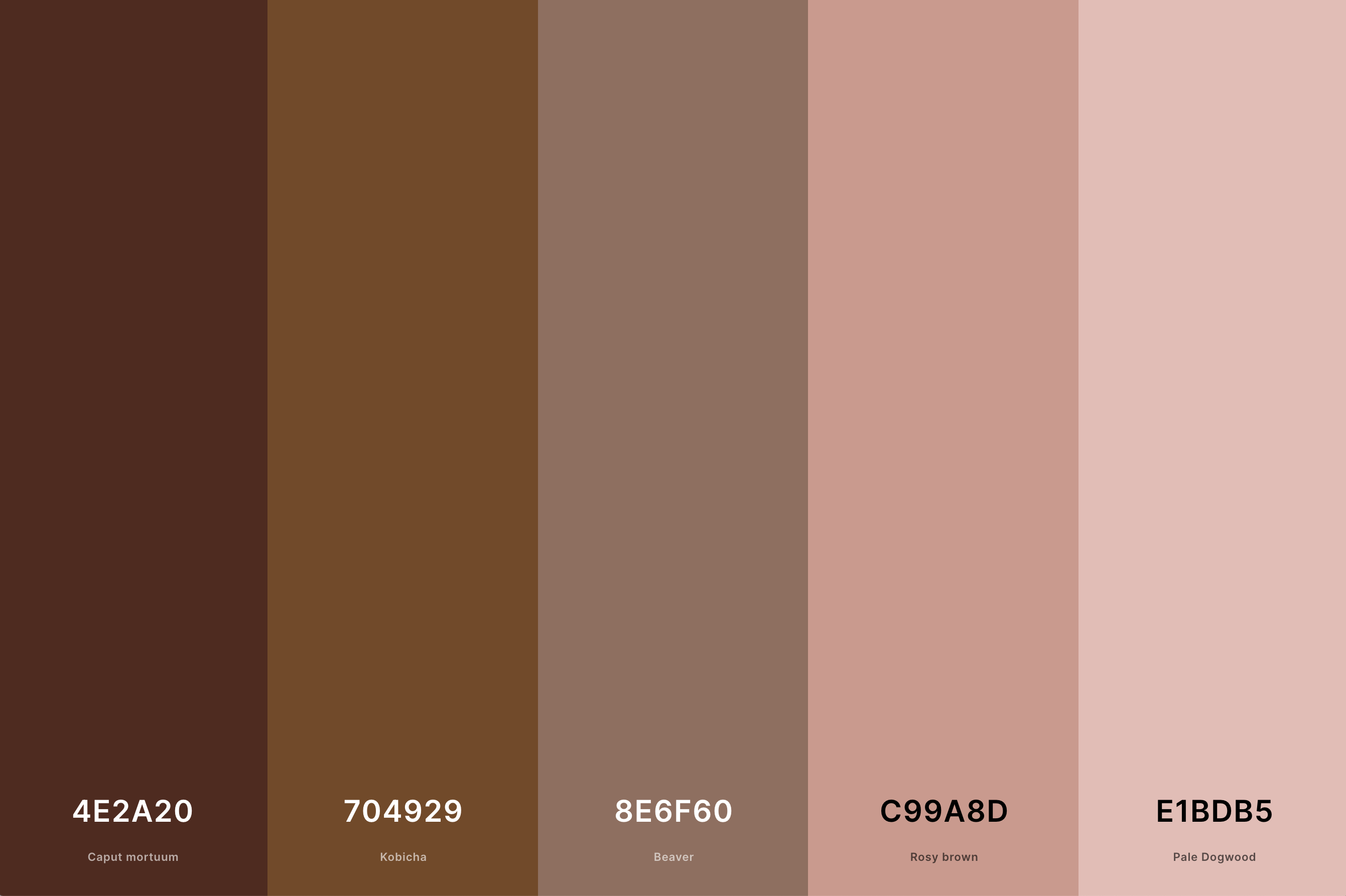 Brown & Green Color Palette Color Palette with Black Bean (Hex #340B01) + Kobicha (Hex #6B4028) + Cambridge Blue (Hex #7B967A) + Ash Gray (Hex #BED4C2) + Alabaster (Hex #ECE6D8) Color Palette with Hex Codes