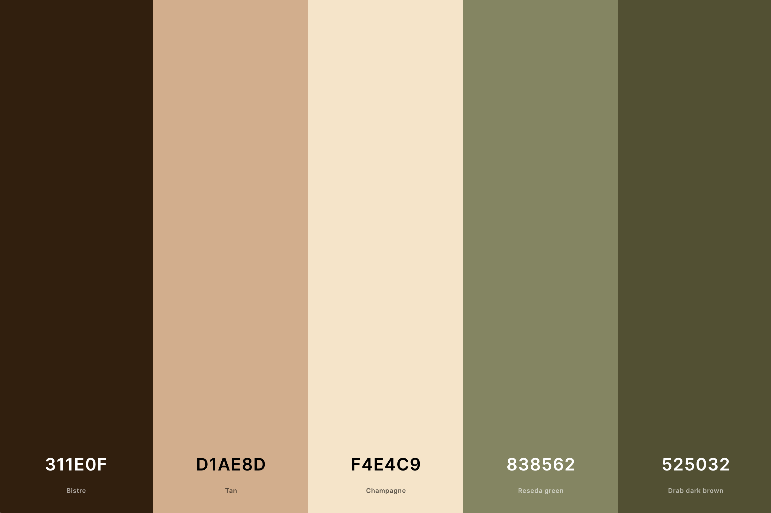 Brown and Green Color Palette Color Palette with Bistre (Hex #311E0F) + Tan (Hex #D1AE8D) + Champagne (Hex #F4E4C9) + Reseda Green (Hex #838562) + Drab Dark Brown (Hex #525032) Color Palette with Hex Codes