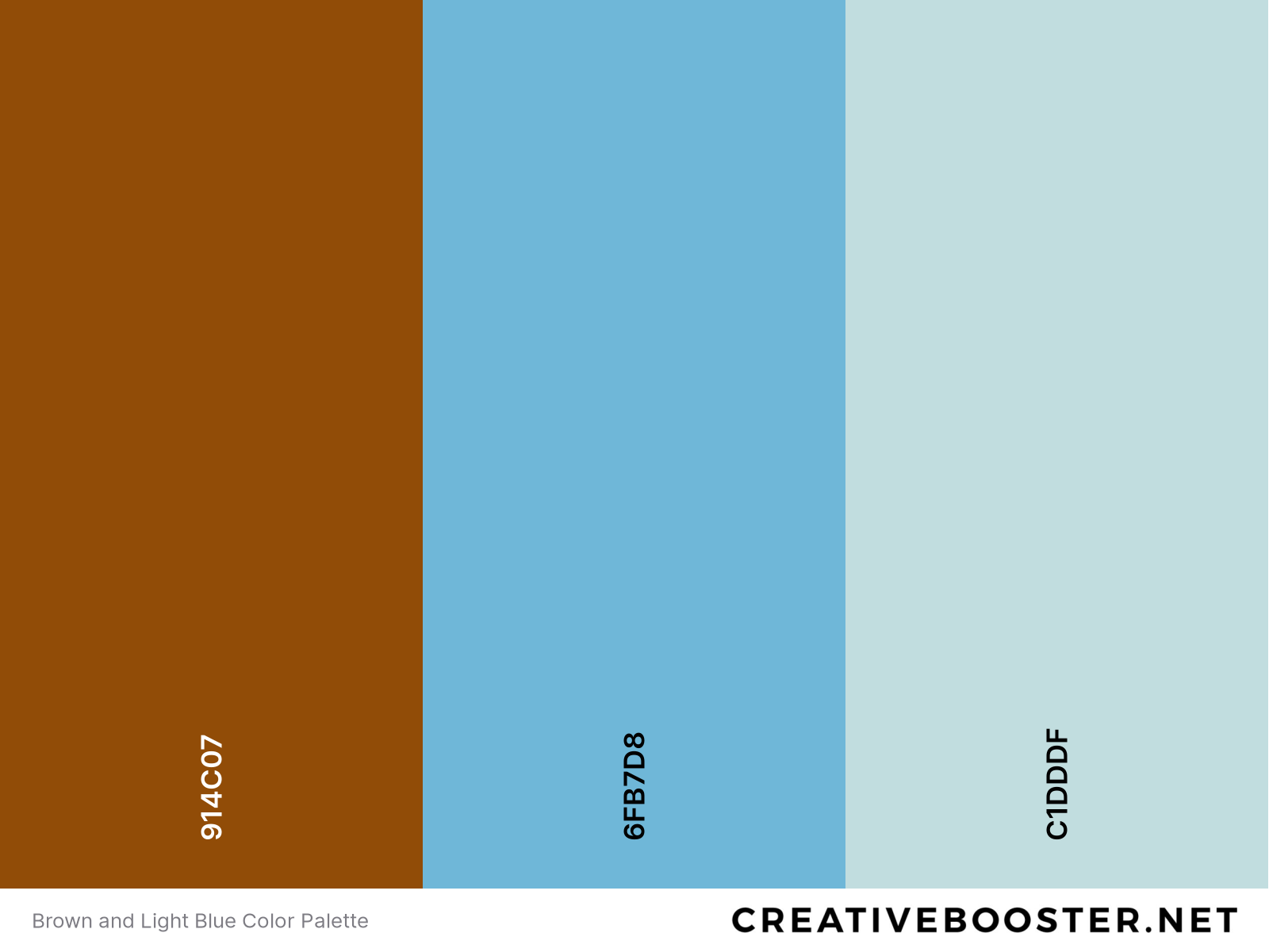 Brown and Light Blue Color Palette