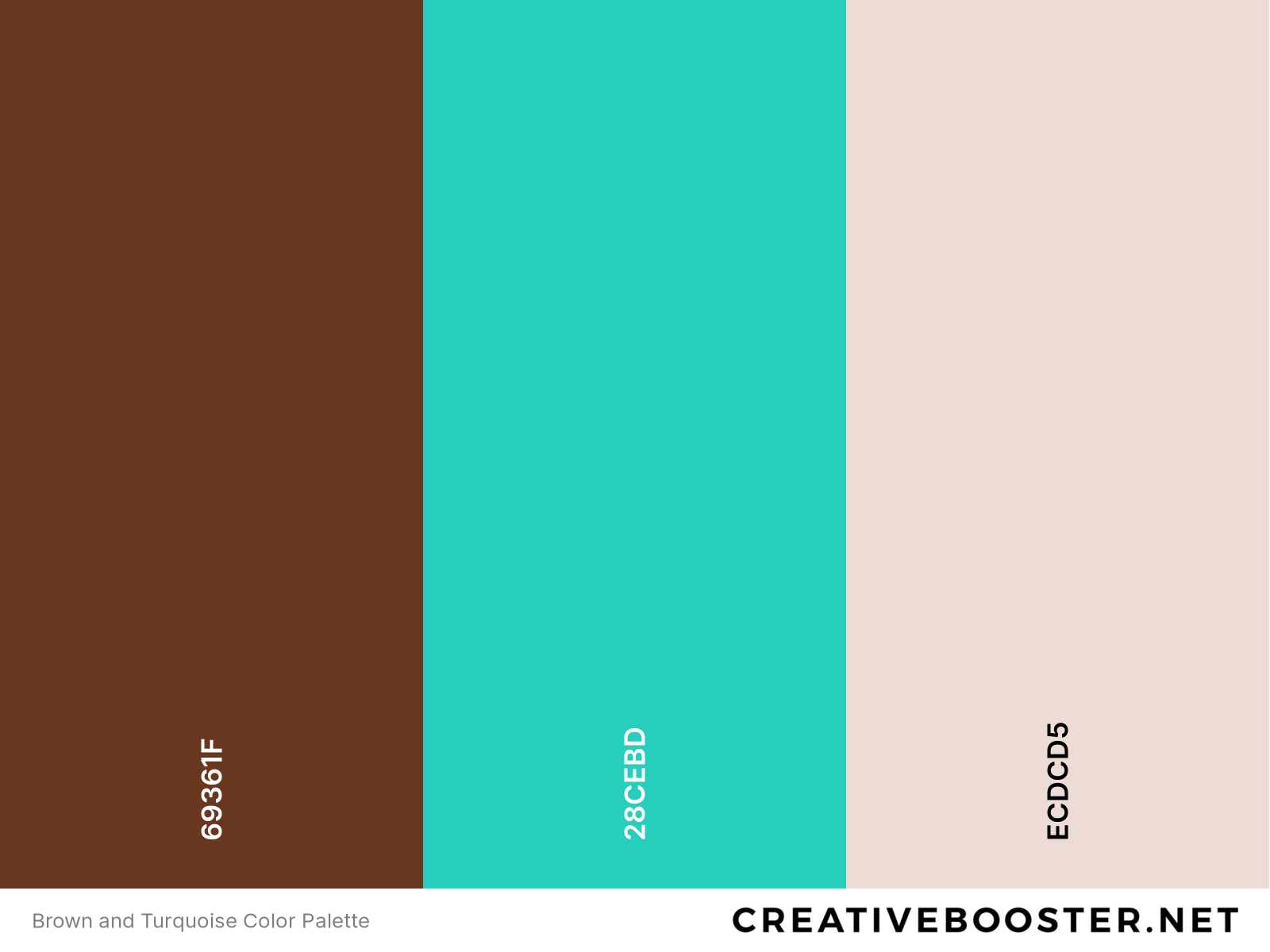 Brown and Turquoise Color Palette