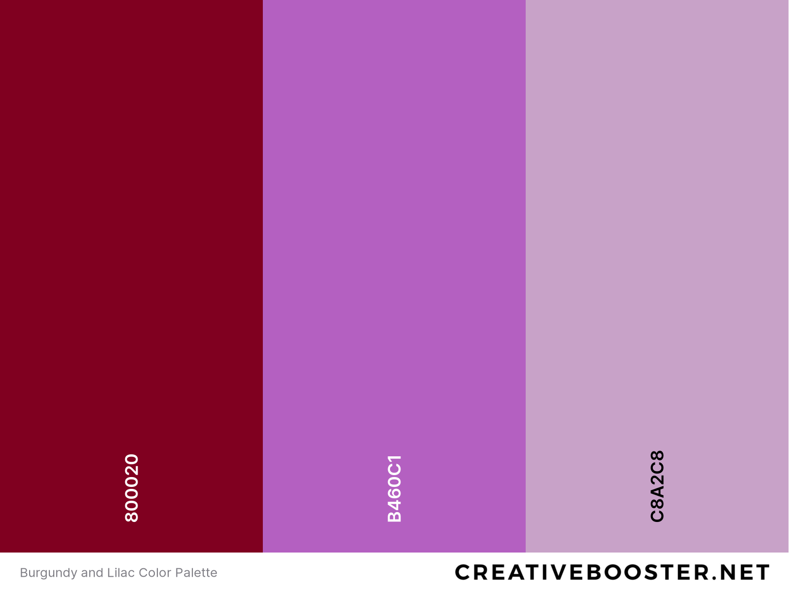 Burgundy and Lilac Color Palette