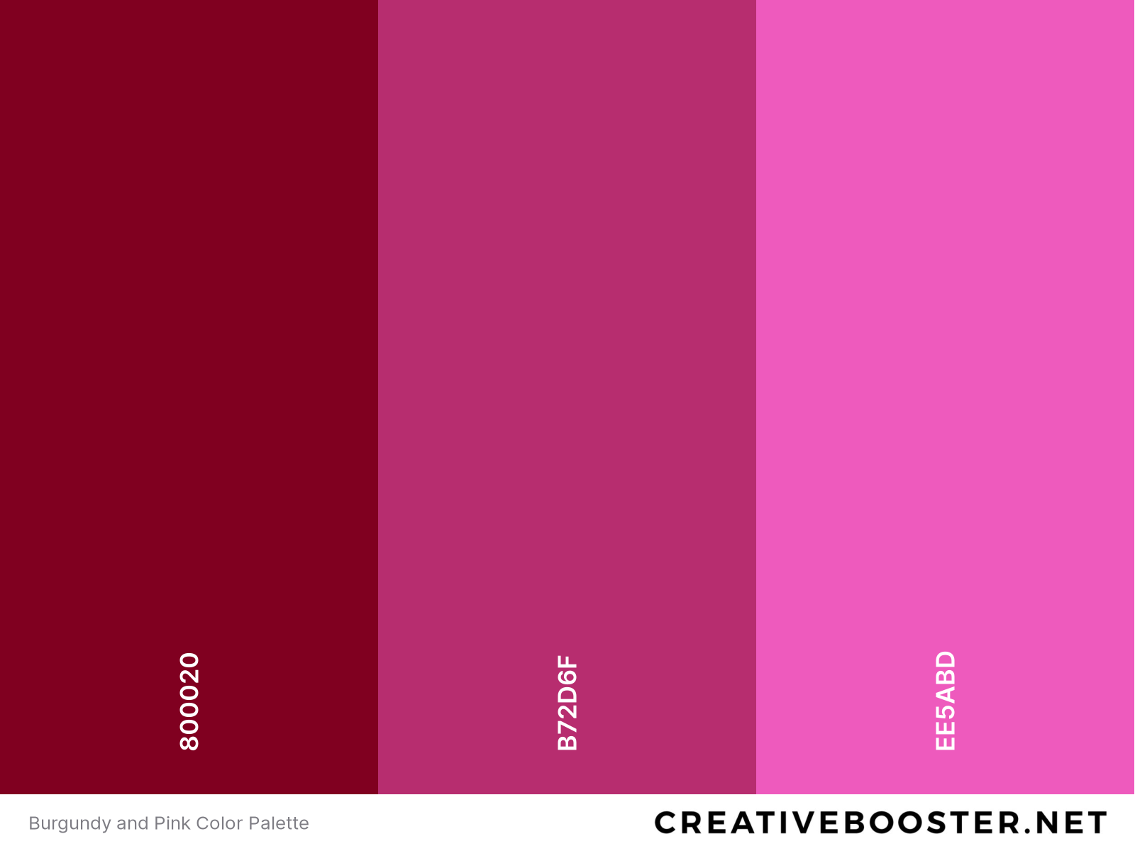 Burgundy and Pink Color Palette