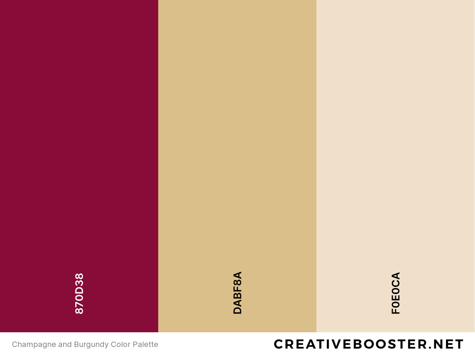 Champagne and Burgundy Color Palette