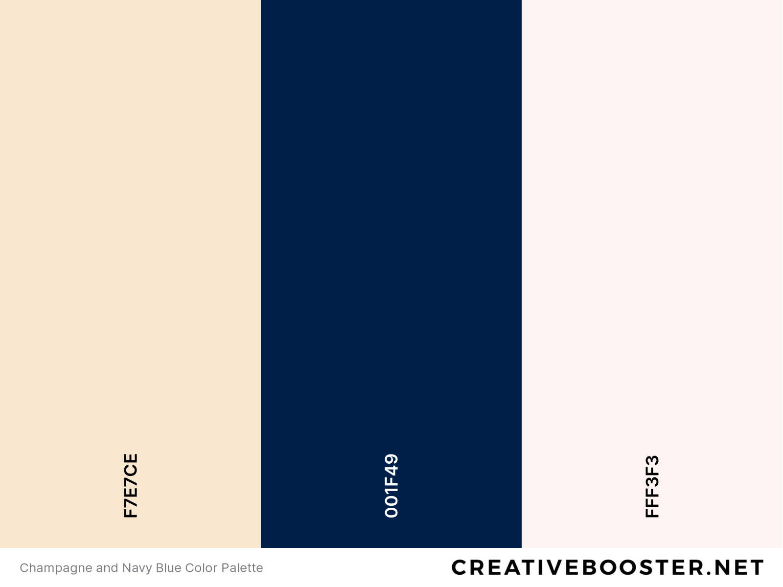 Champagne and Navy Blue Color Palette