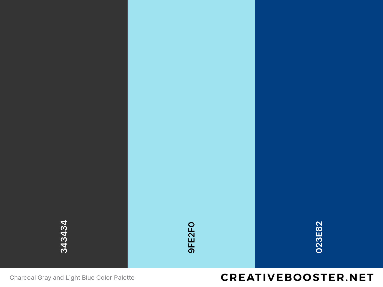 Charcoal Gray and Light Blue Color Palette