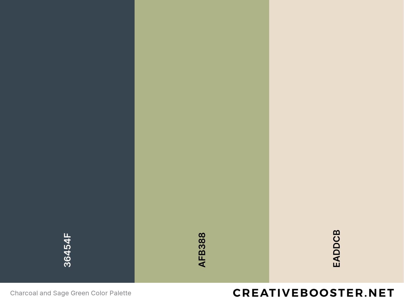 Charcoal and Sage Green Color Palette