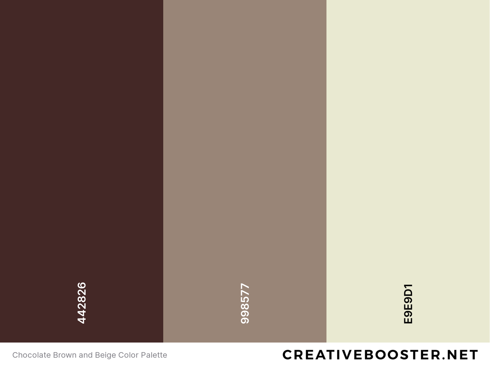 Chocolate Brown and Beige Color Palette