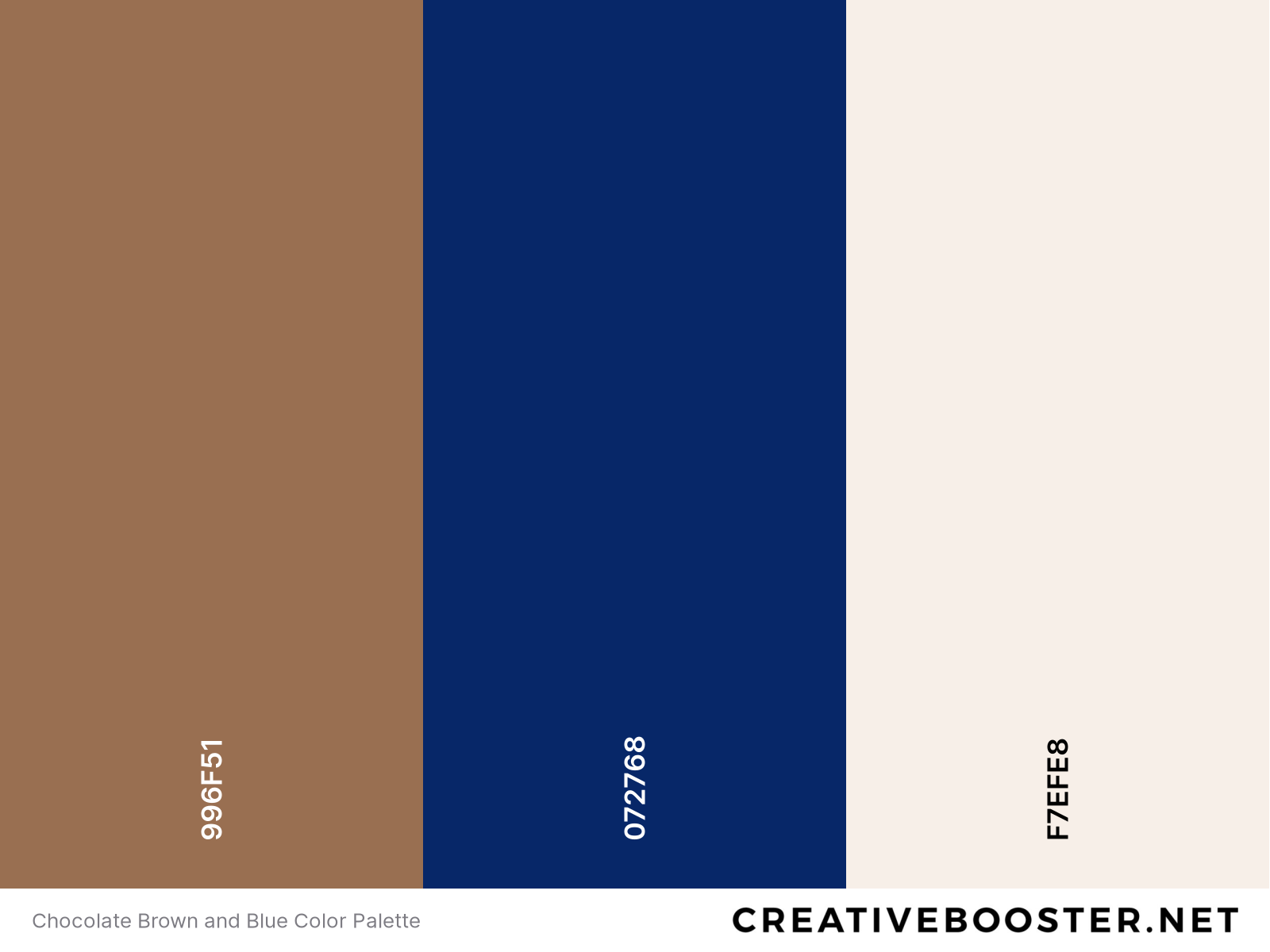 Chocolate Brown and Blue Color Palette
