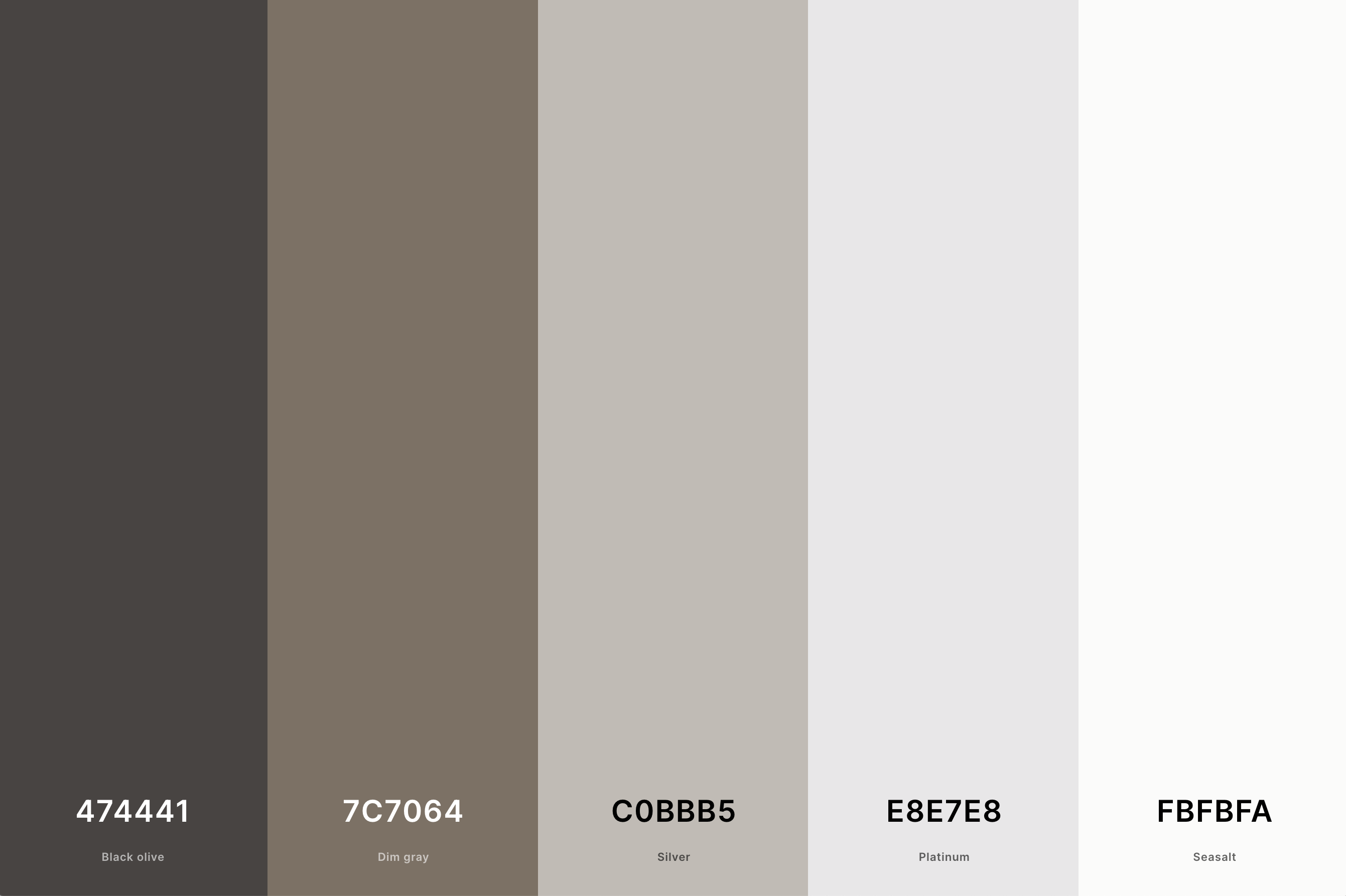 Cool Brown & Gray Brown Color Palette Color Palette with Black Olive (Hex #474441) + Dim Gray (Hex #7C7064) + Silver (Hex #C0BBB5) + Platinum (Hex #E8E7E8) + Seasalt (Hex #FBFBFA) Color Palette with Hex Codes