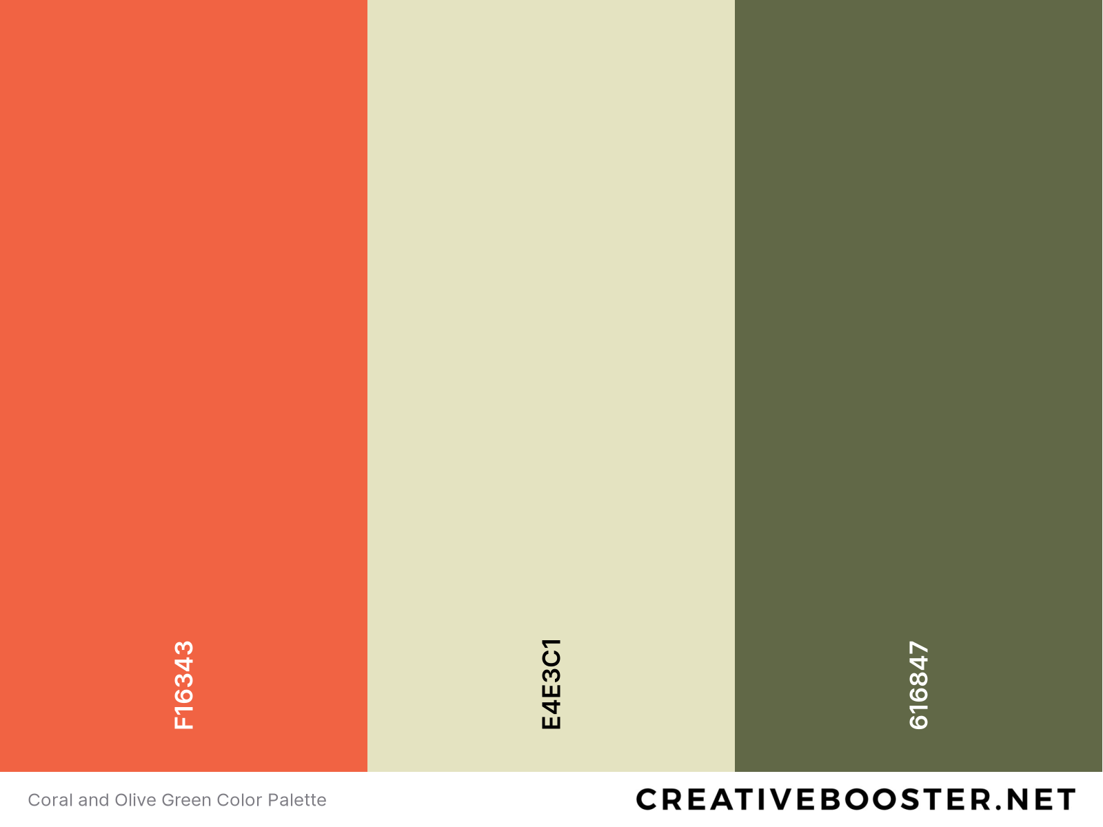Coral and Olive Green Color Palette