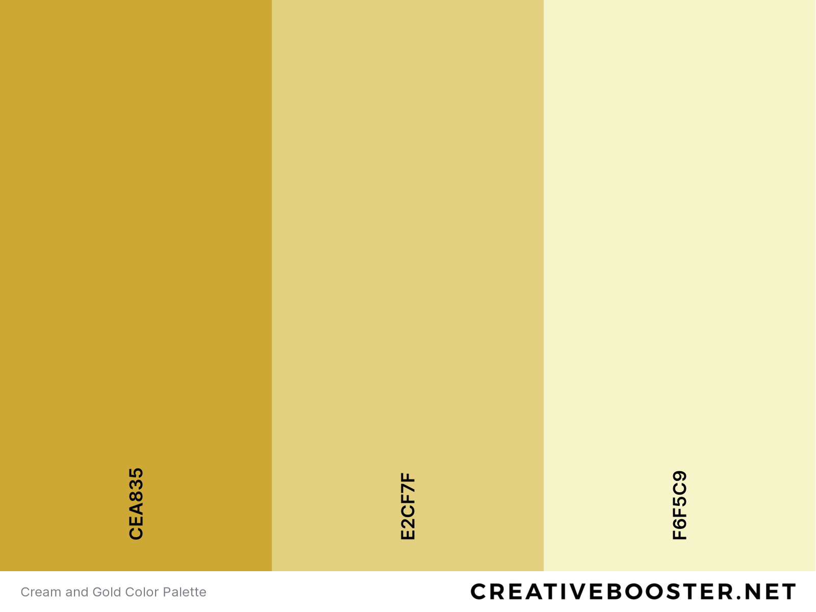 Cream and Gold Color Palette