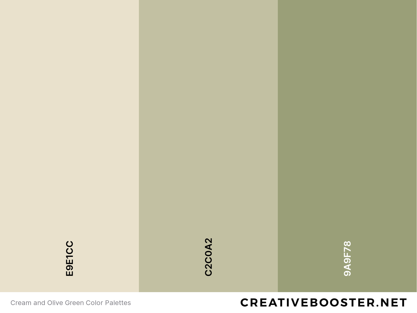 Cream and Olive Green Color Palettes