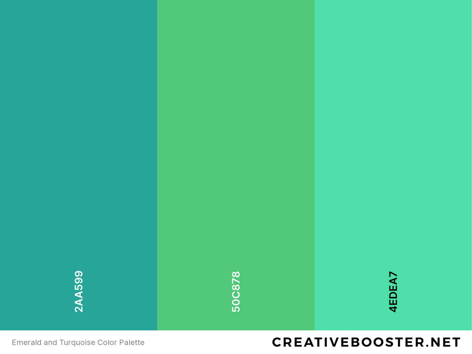 25+ Best Colors That Go With Turquoise (Color Palettes) – CreativeBooster