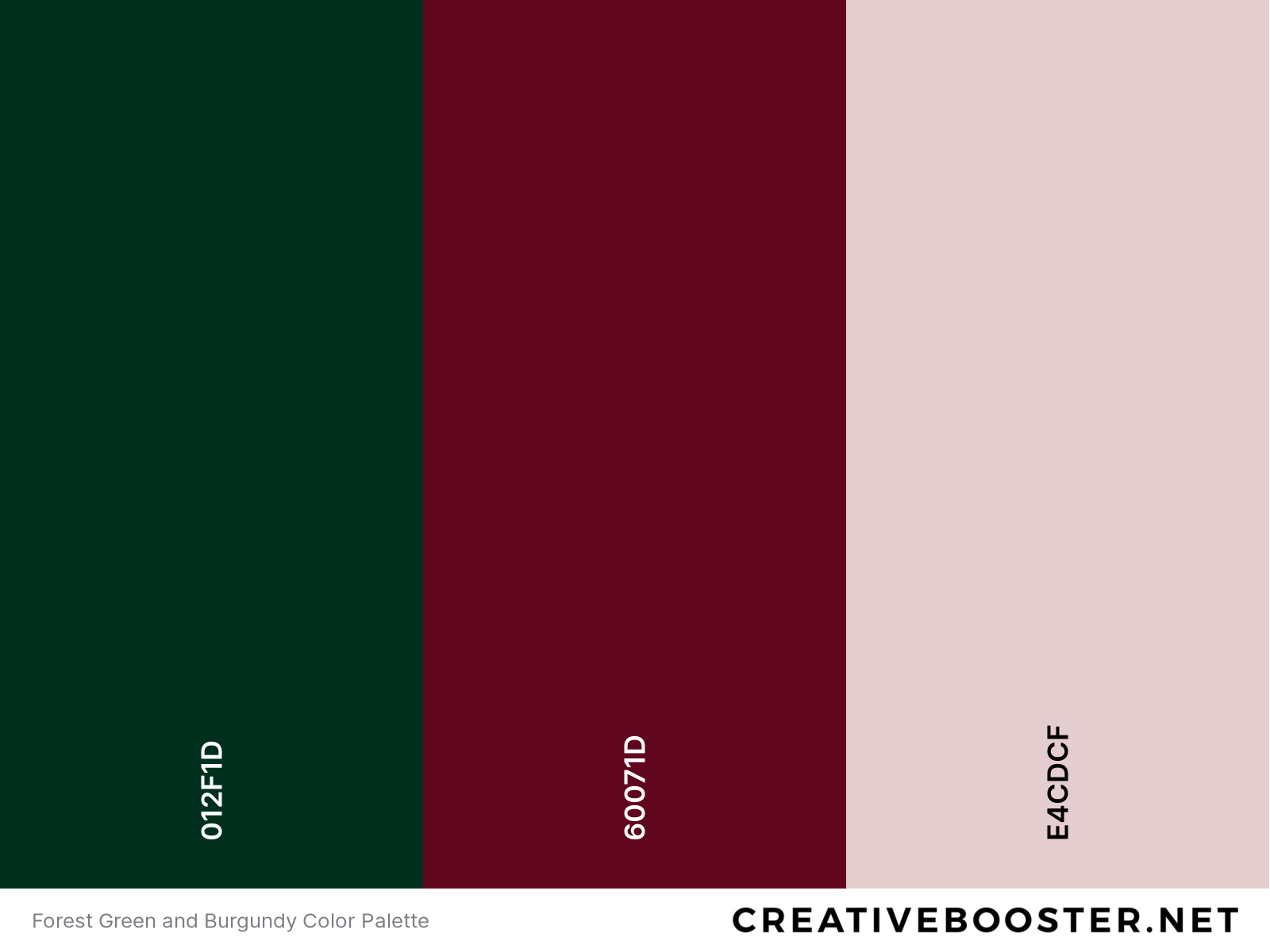 Forest Green and Burgundy Color Palette