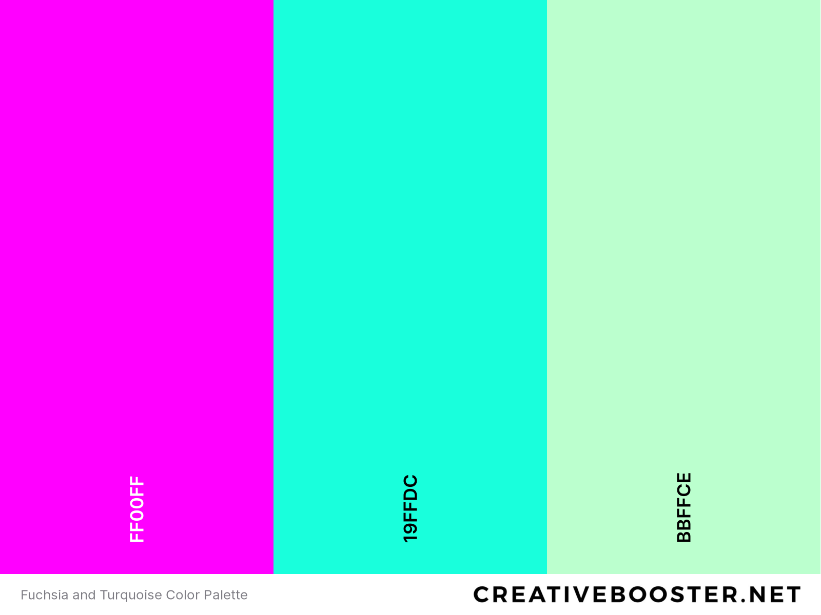 Fuchsia and Turquoise Color Palette