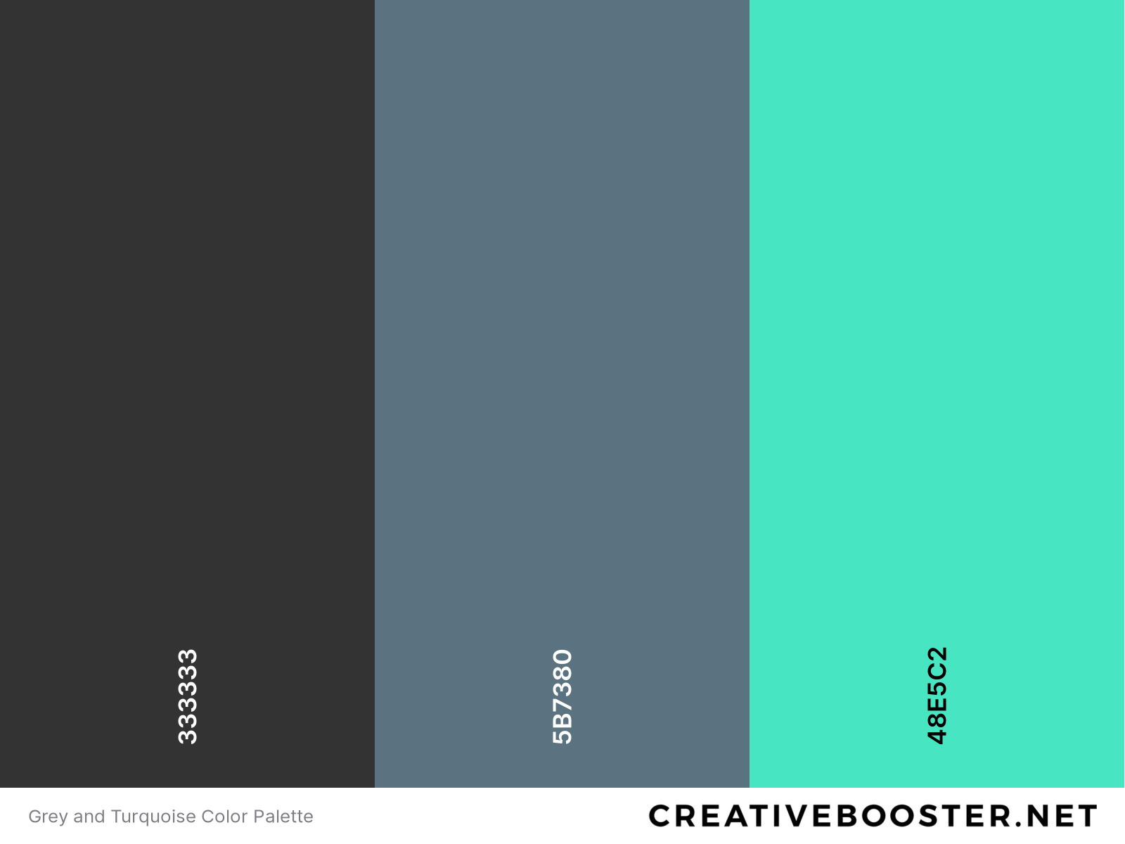 Grey and Turquoise Color Palette