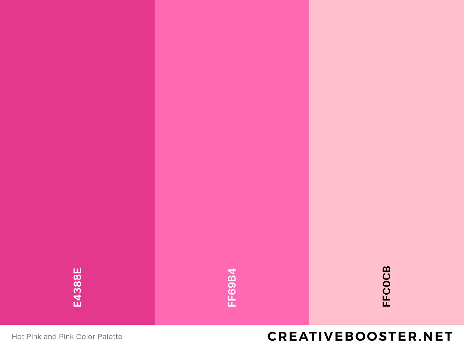 Hot Pink and Pink Color Palette