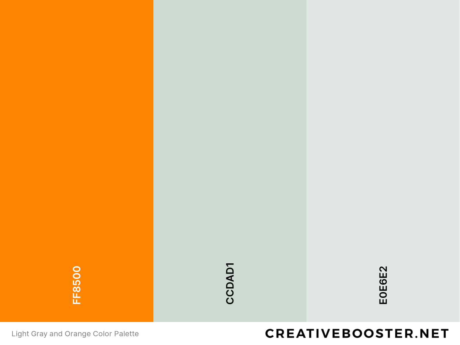 Light Gray and Orange Color Palette