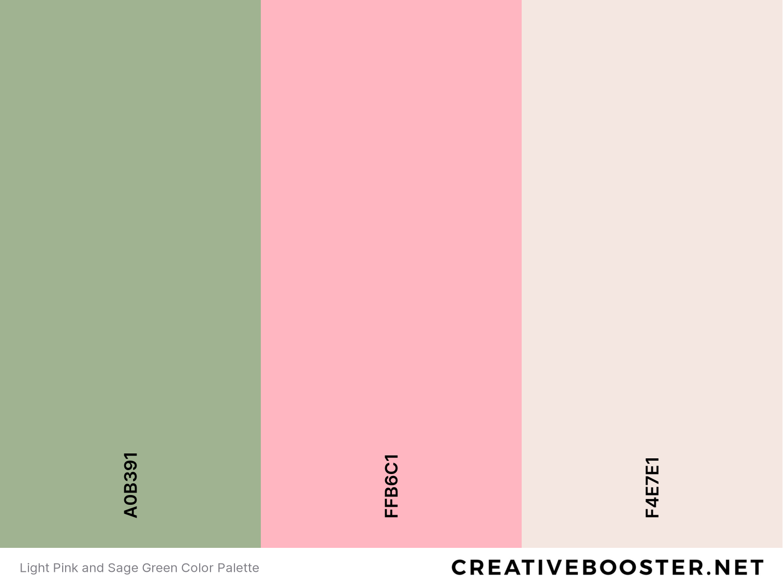 Light Pink and Sage Green Color Palette