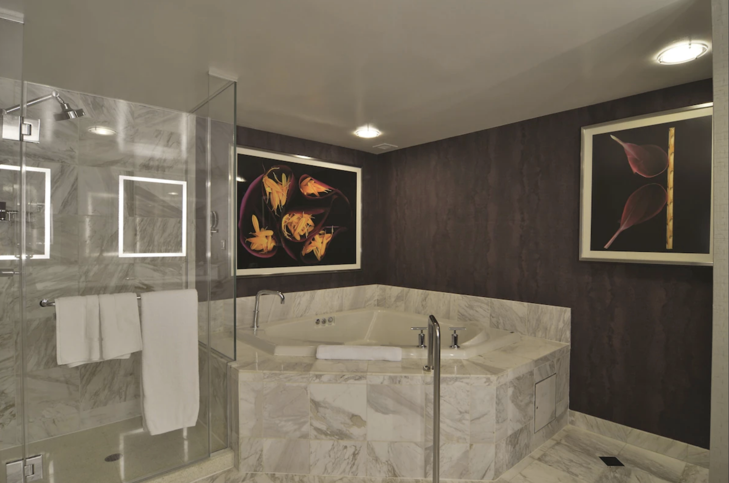 MGM Grand Hotel & Casino - Tower Spa Suite
