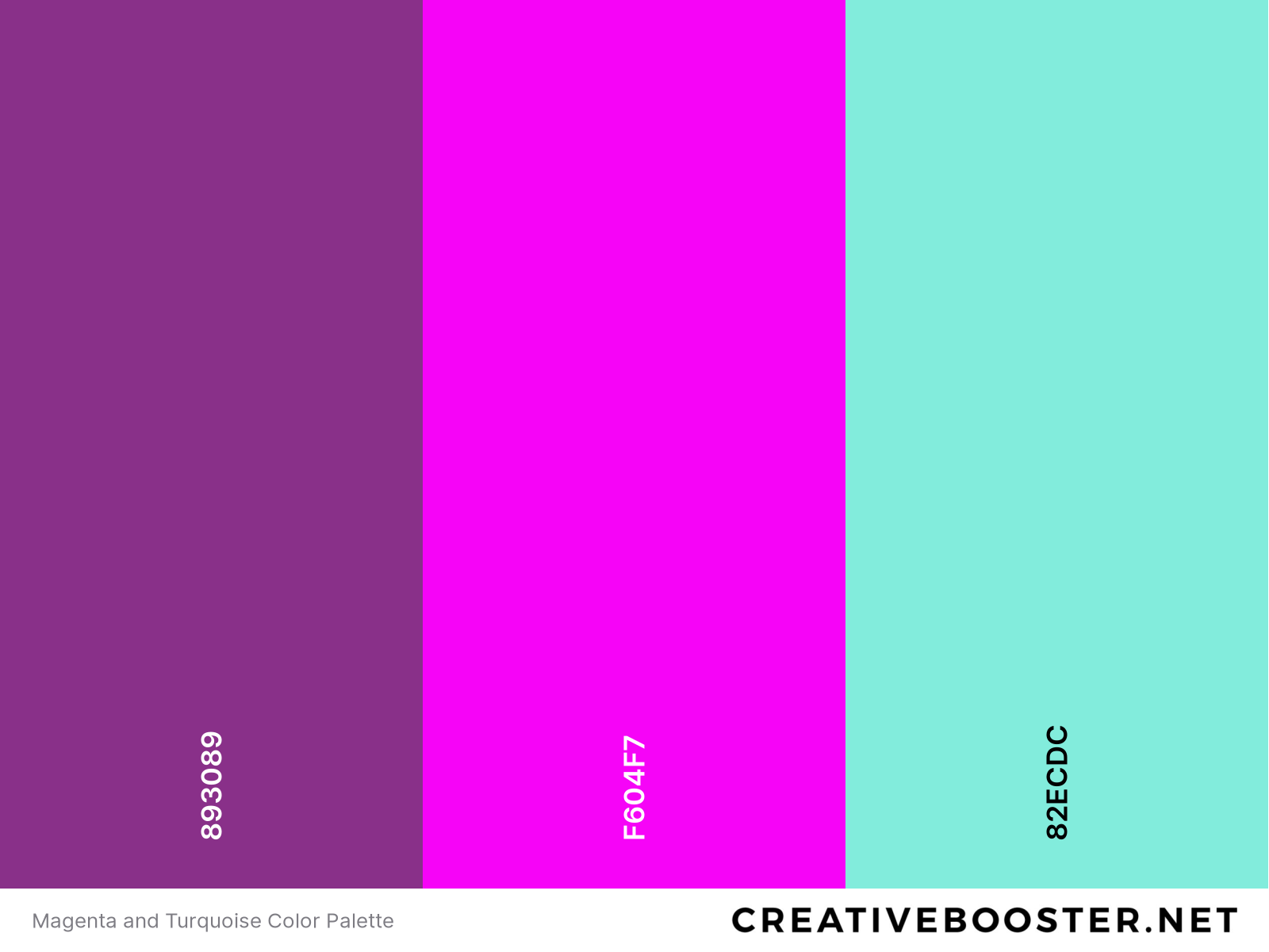 Magenta and Turquoise Color Palette