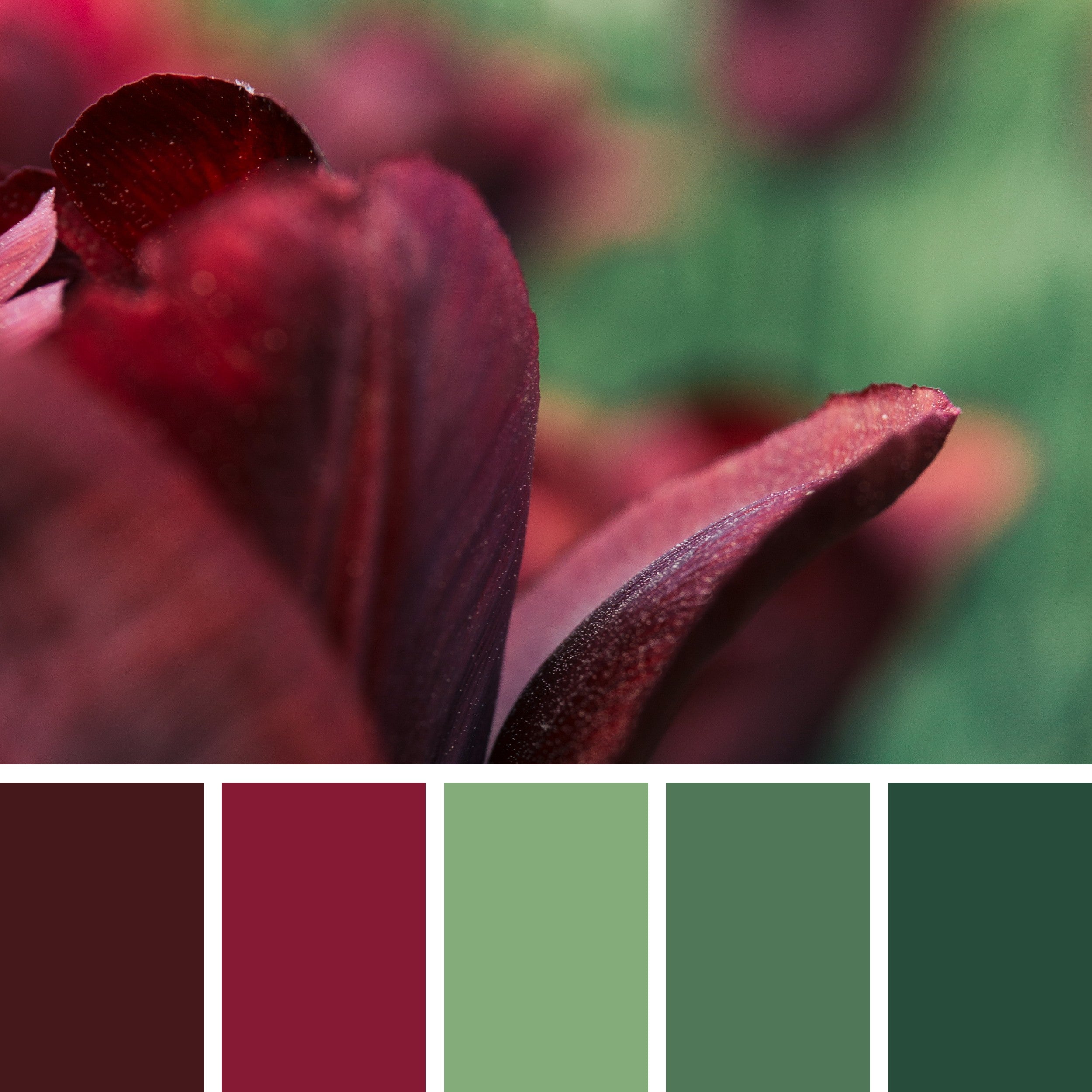 Maroon-and-Green-Color-Palette