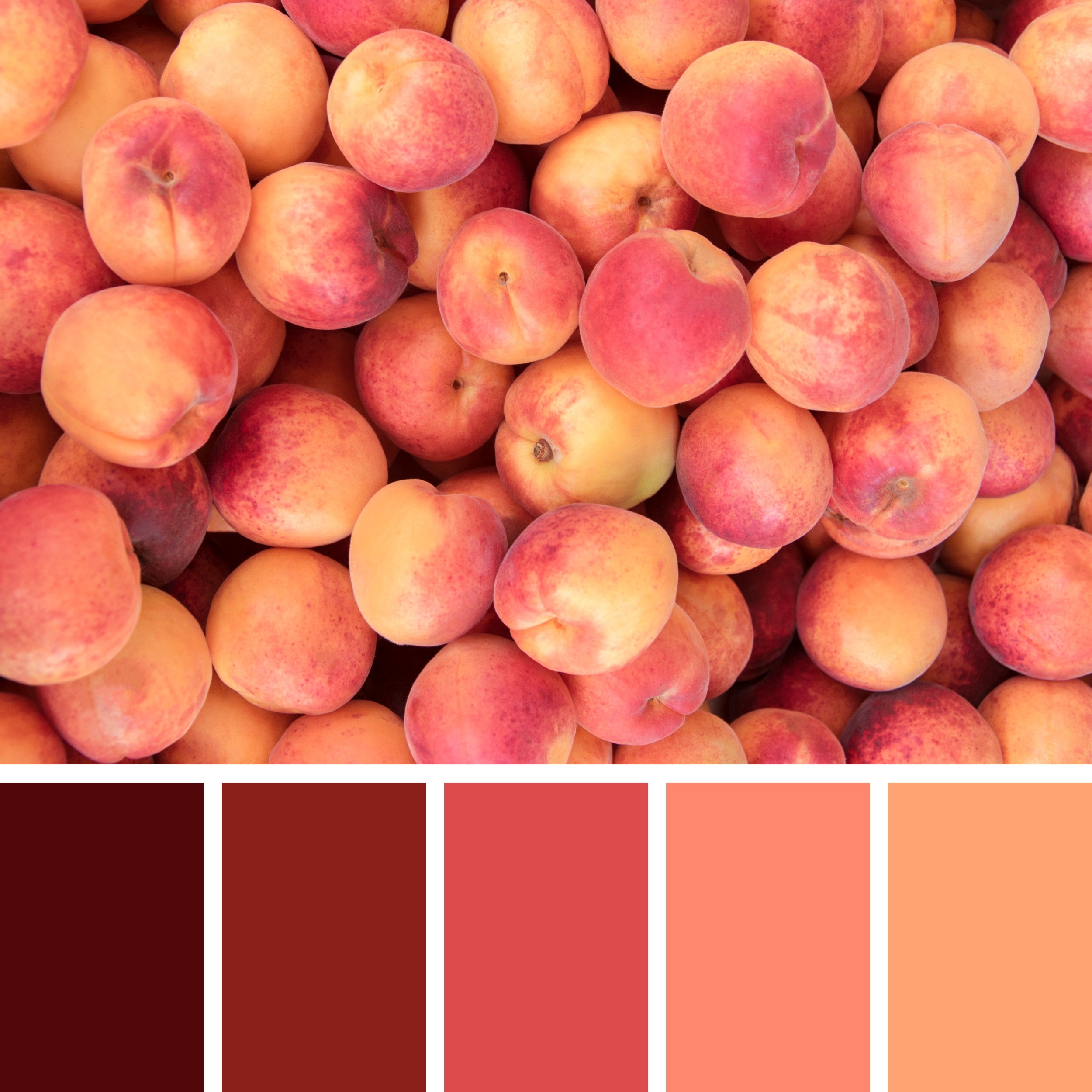 Maroon-and-Peach-Color-Palette