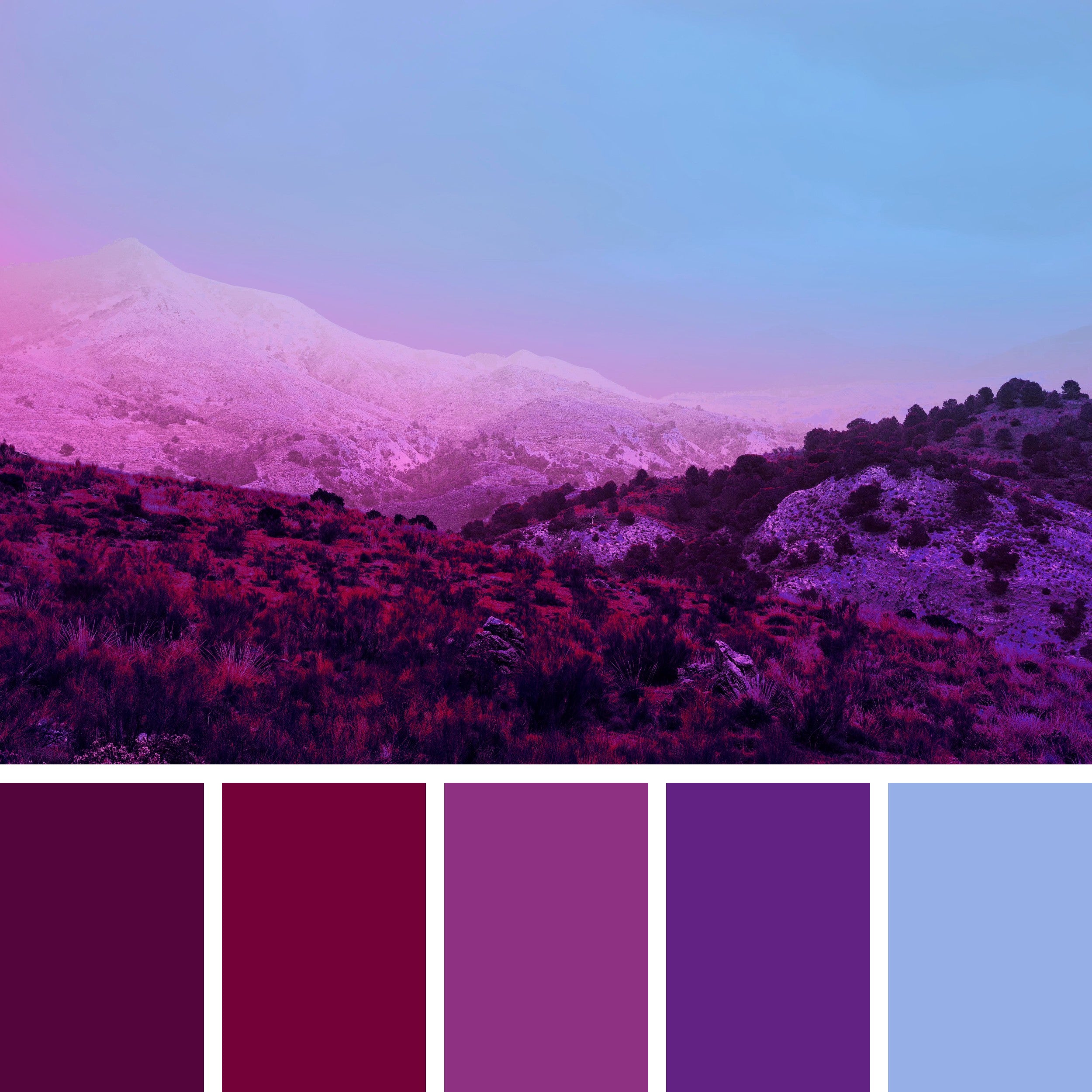 Maroon-and-Purple-Color-Palette