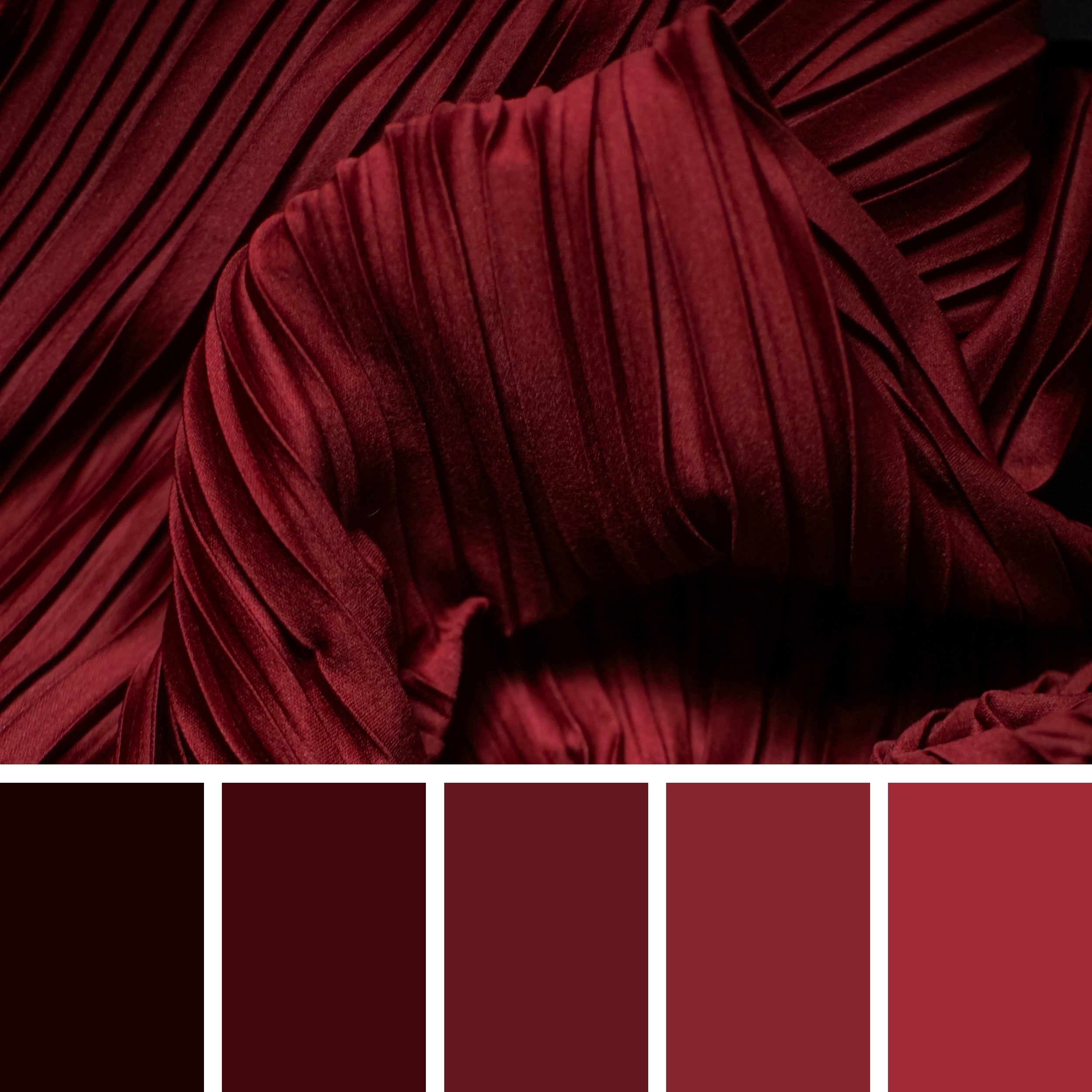 Maroon and Black Color Palette