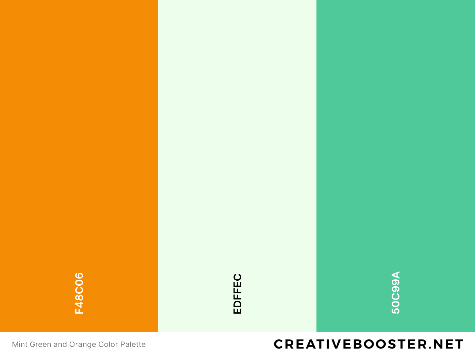 Mint Green and Orange Color Palette