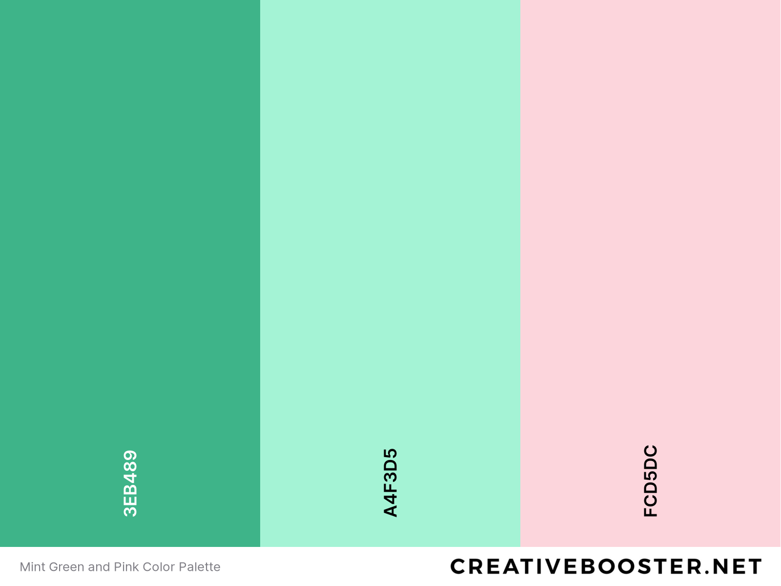 Mint Green and Pink Color Palette