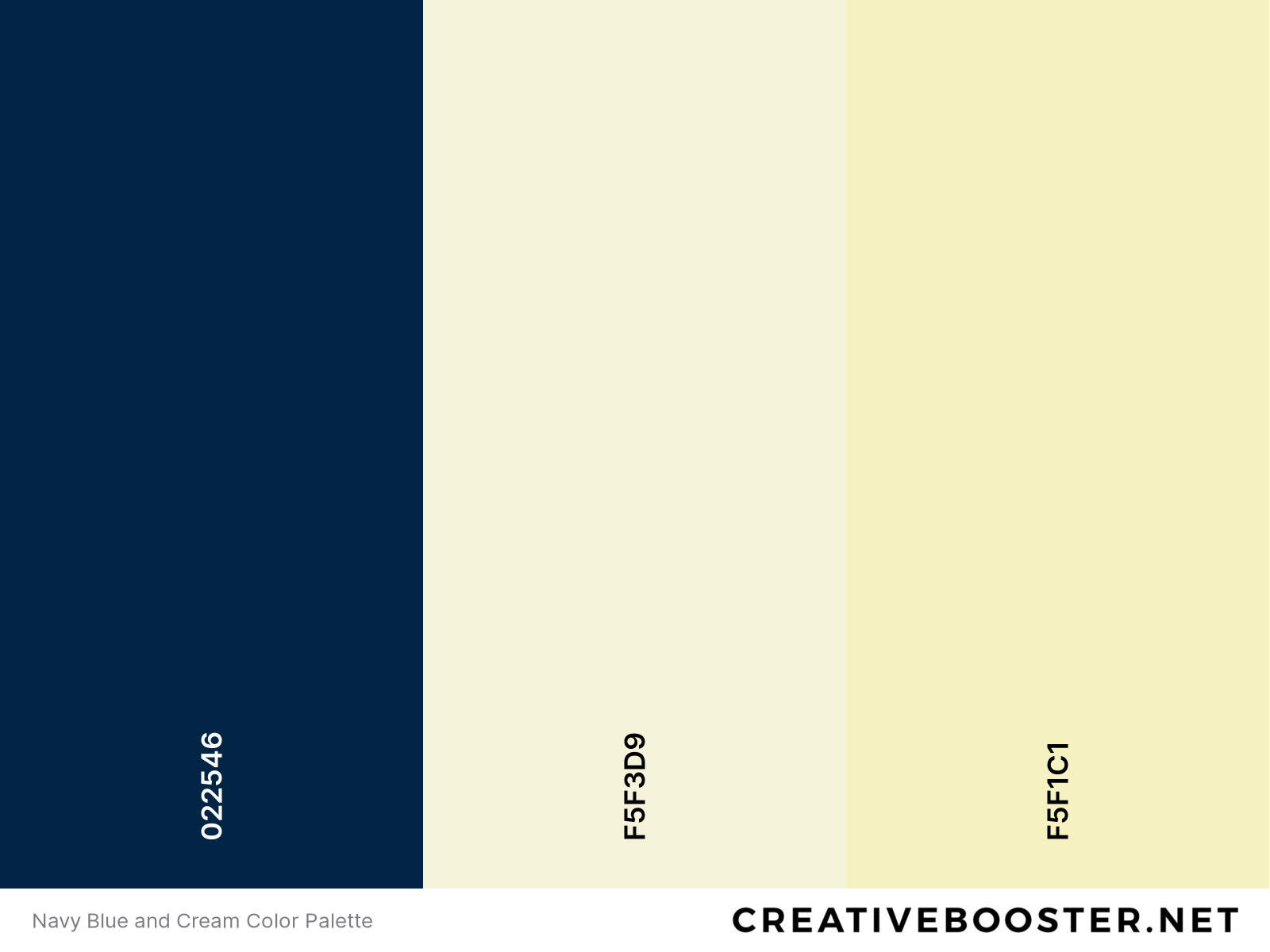 Navy Blue and Cream Color Palette