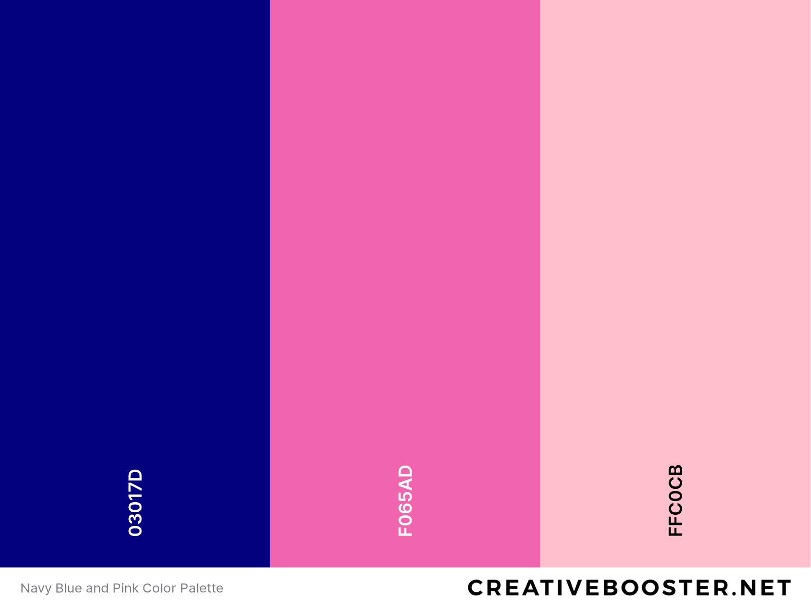 Navy Blue and Pink Color Palette