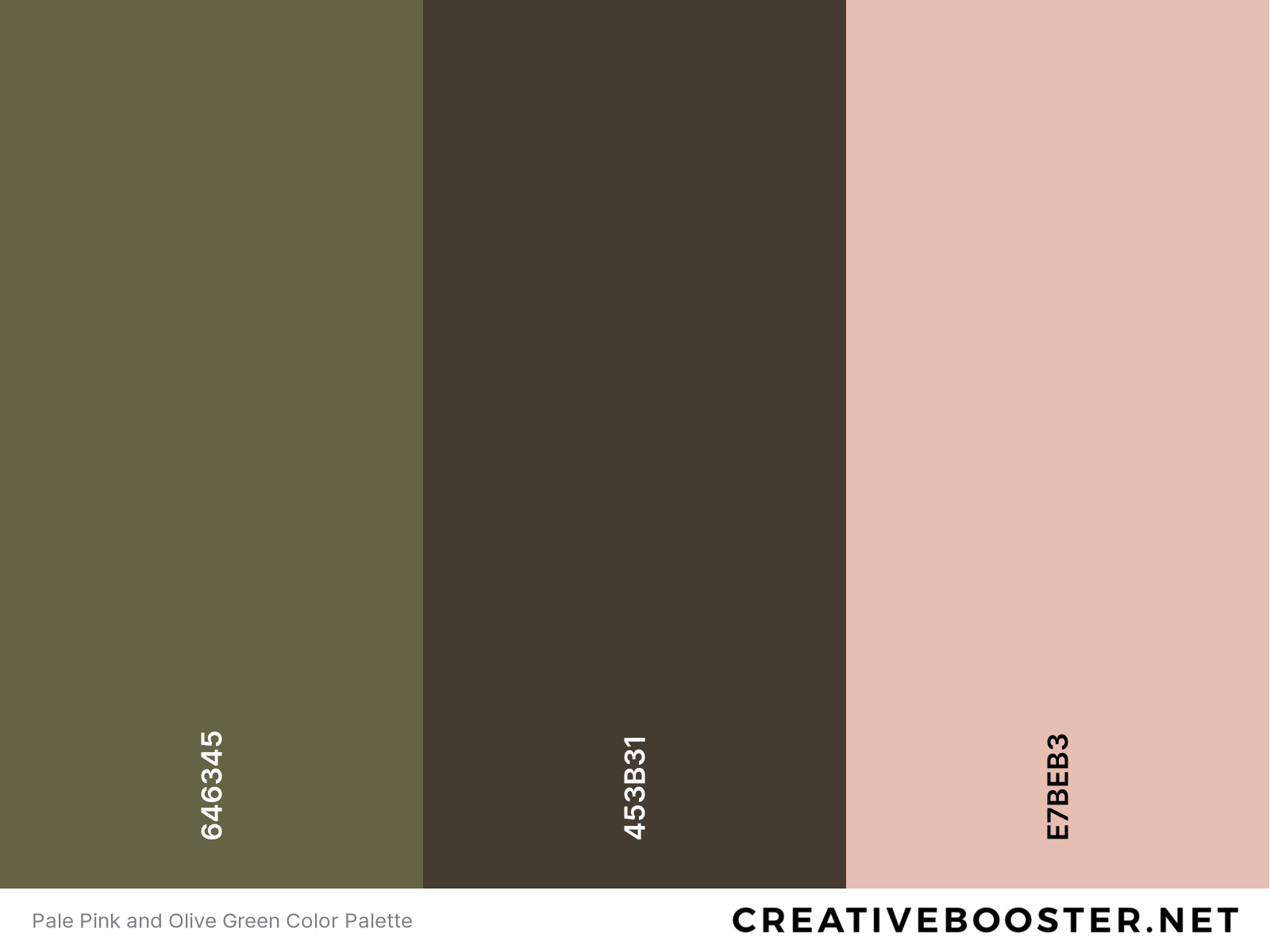 Pale Pink and Olive Green Color Palette