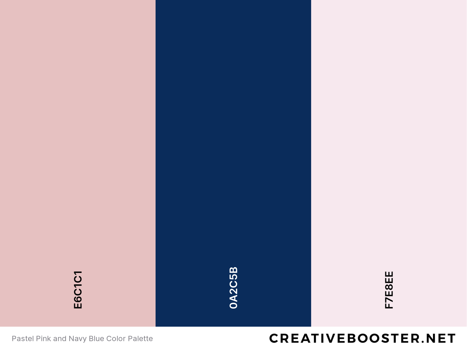 Pastel Pink and Navy Blue Color Palette