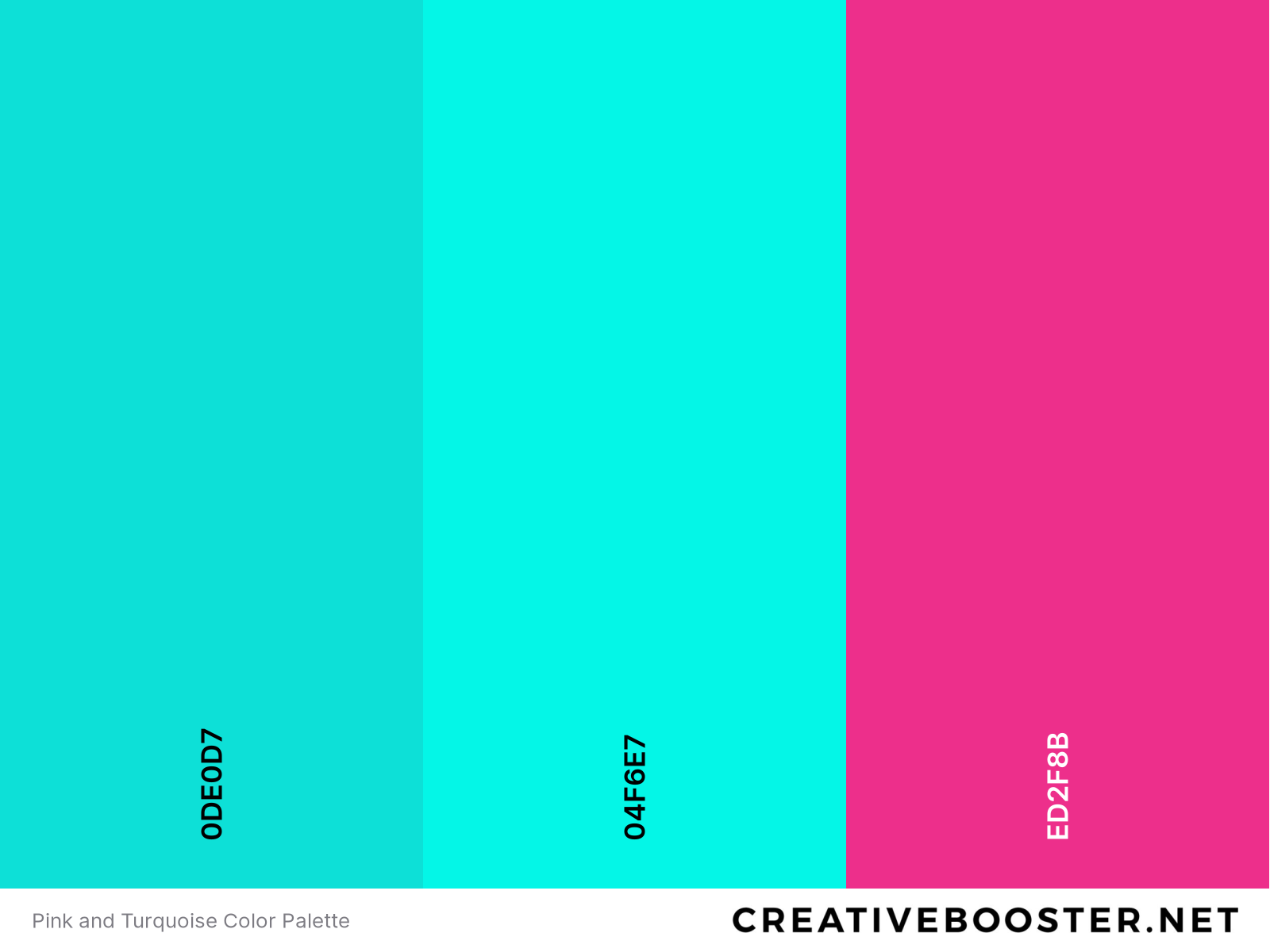 Pink and Turquoise Color Palette