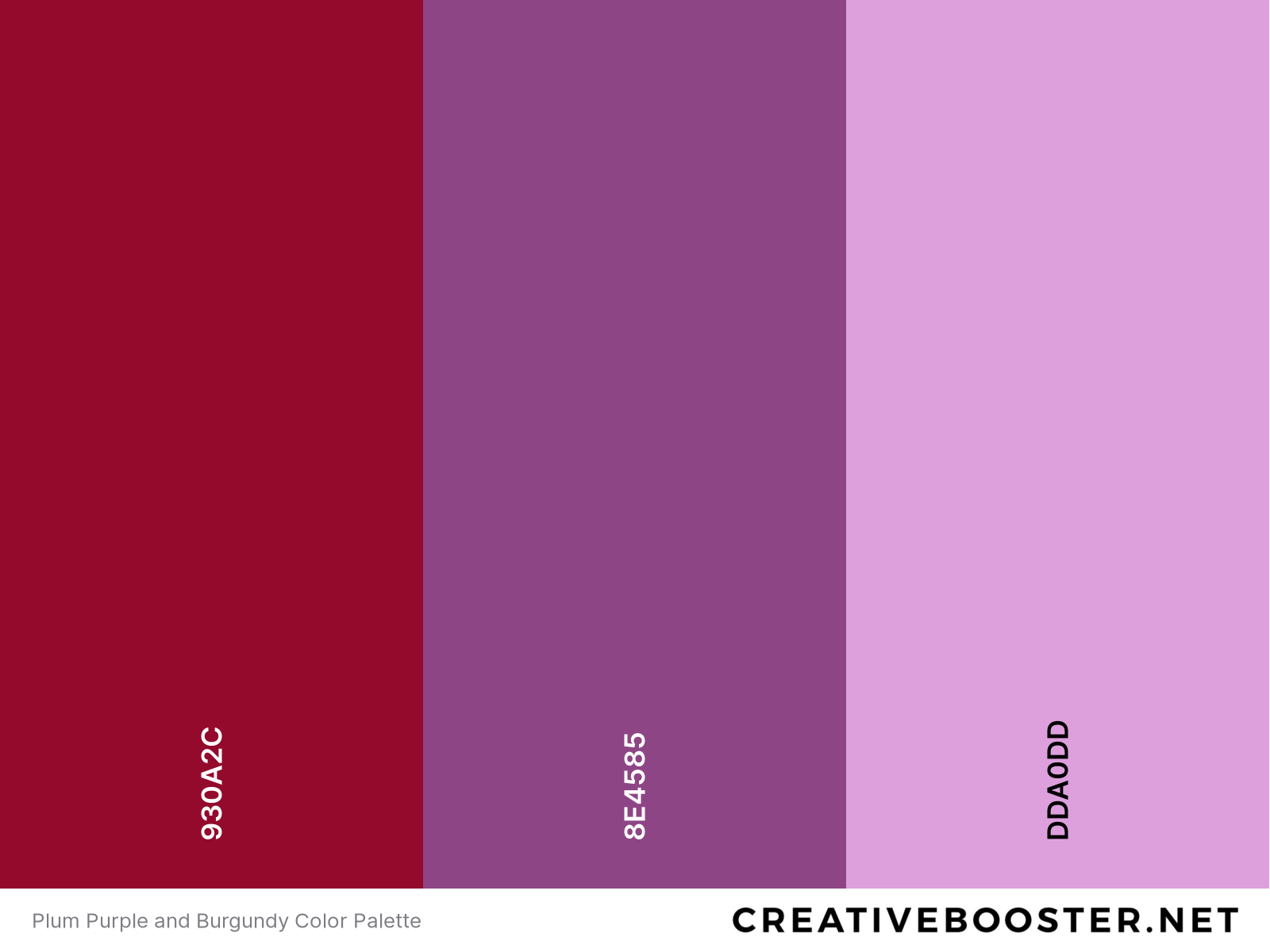 Plum Purple and Burgundy Color Palette