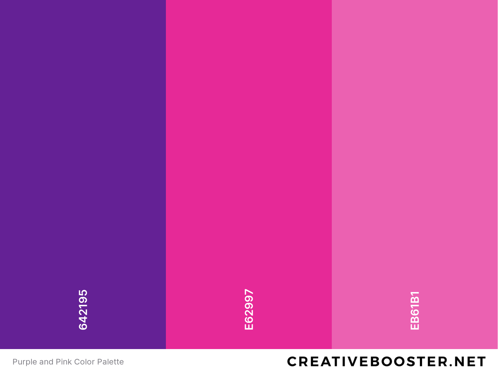 Purple and Pink Color Palette