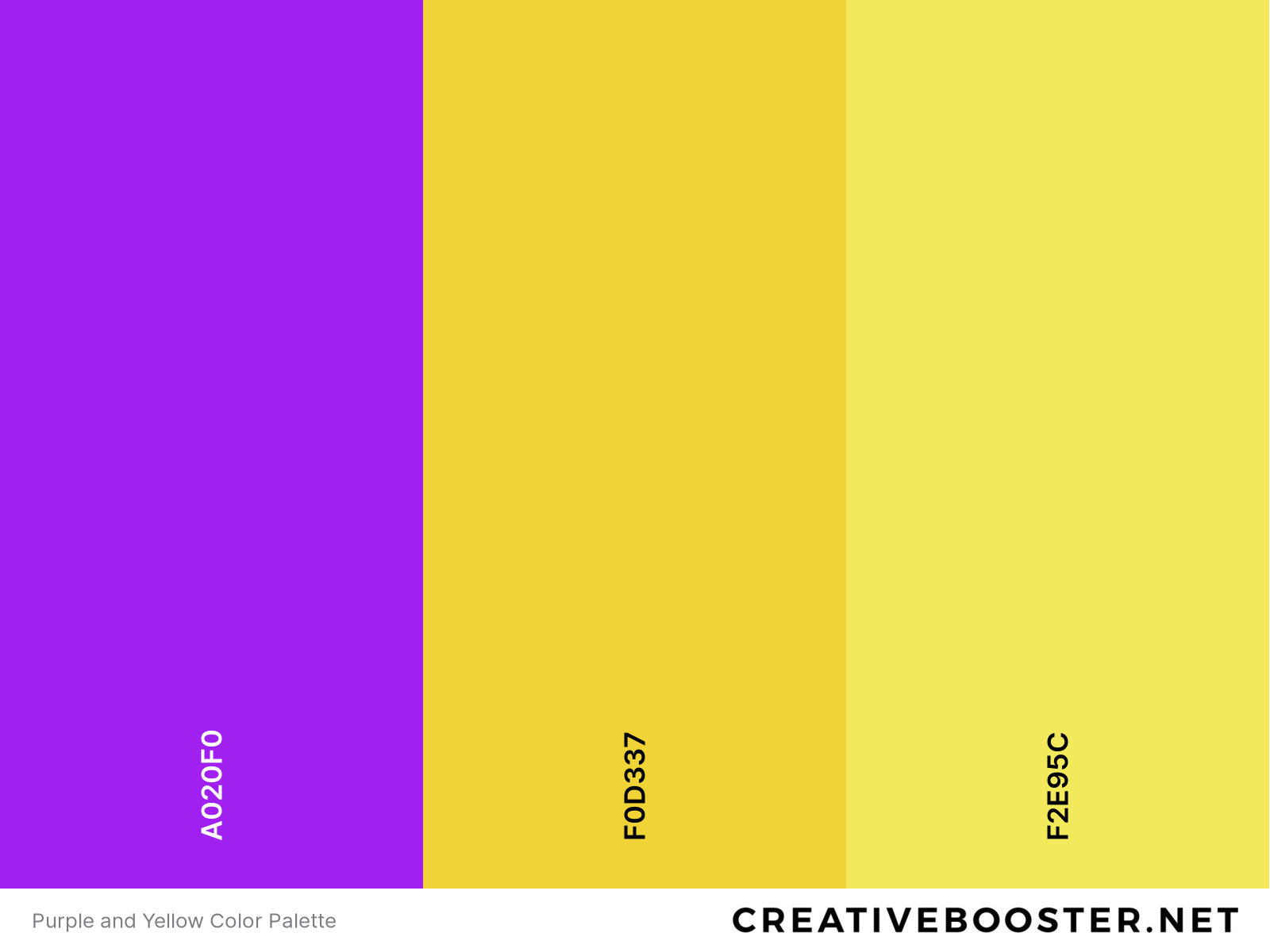Purple and Yellow Color Palette